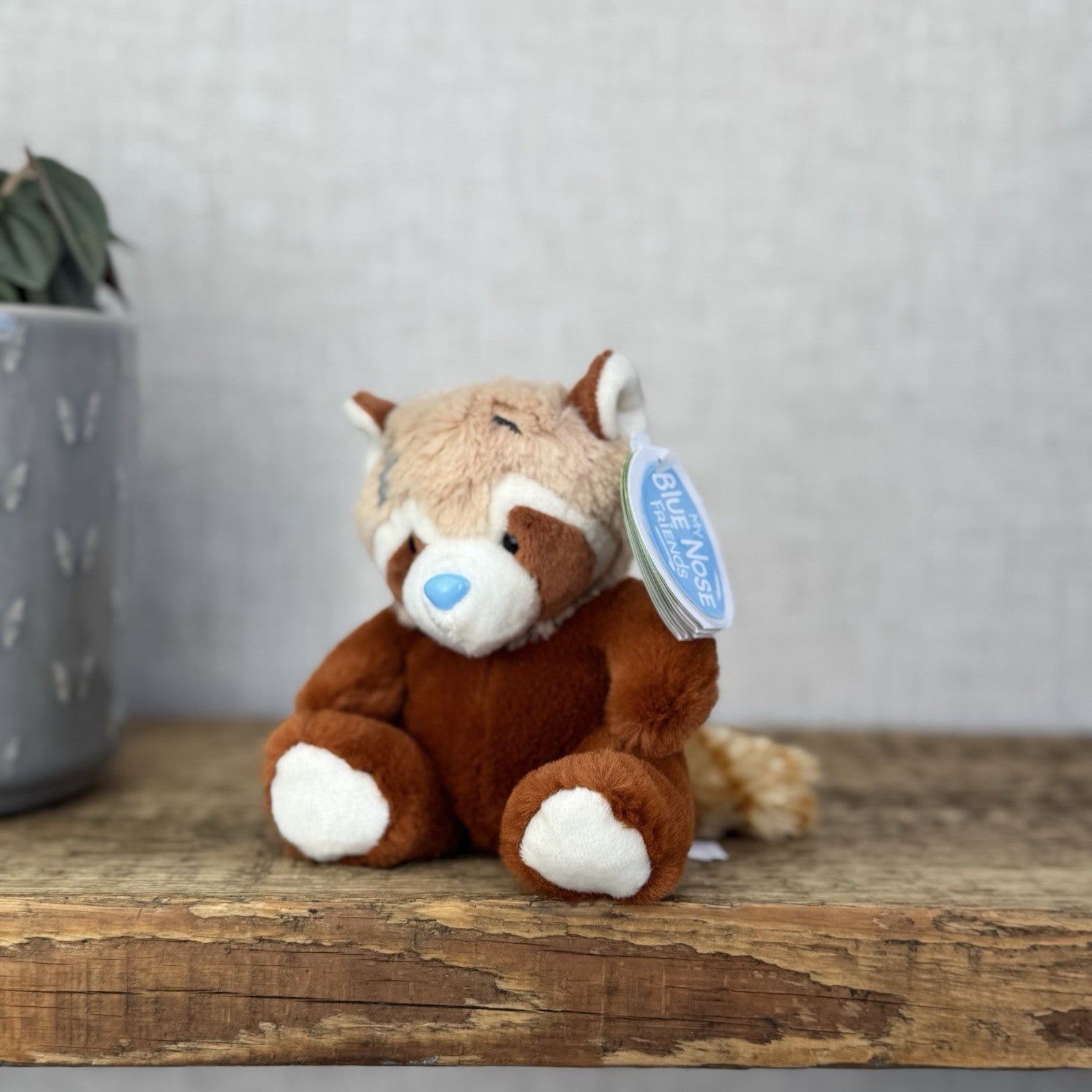Blue Nose Friends - Ember Red Panda - Mini Plush  Colletible Soft Beanie Pal 5"