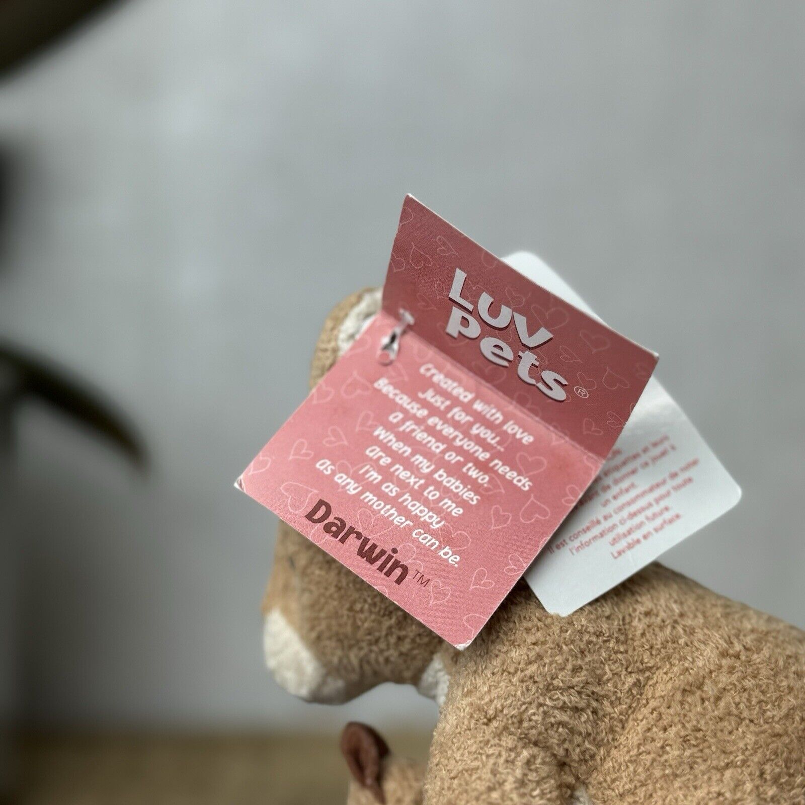 Russ Berrie Luv Pets - Tiny Kangaroo Darwin - Pocket Pal Tiny Beanie Soft Toy 6”