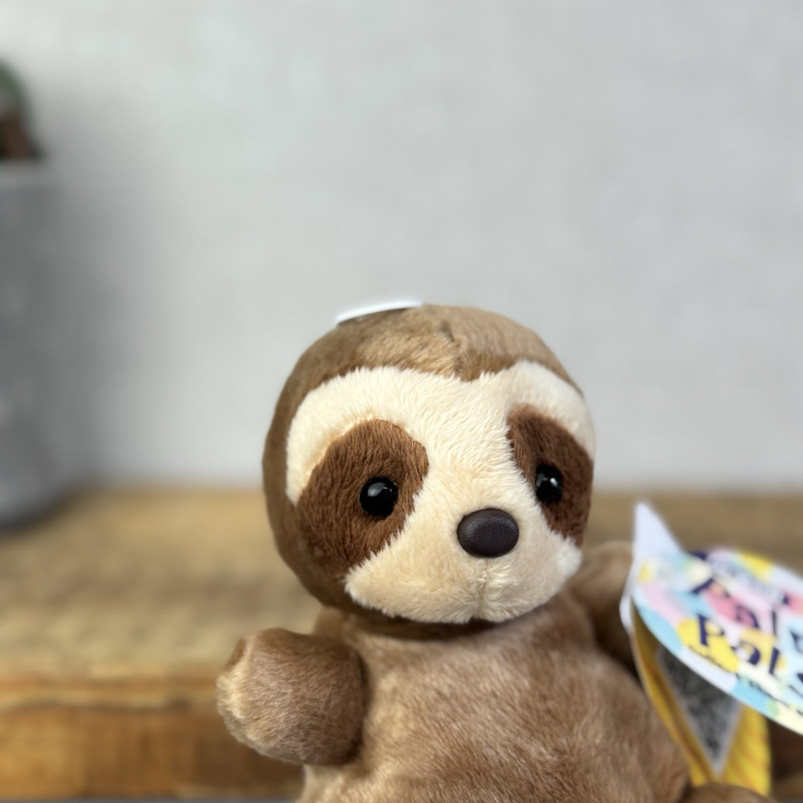 Aurora - Slomo Sloth - Palm Pals Mini Beanbag Plush Mini Sloth Wild Animal New