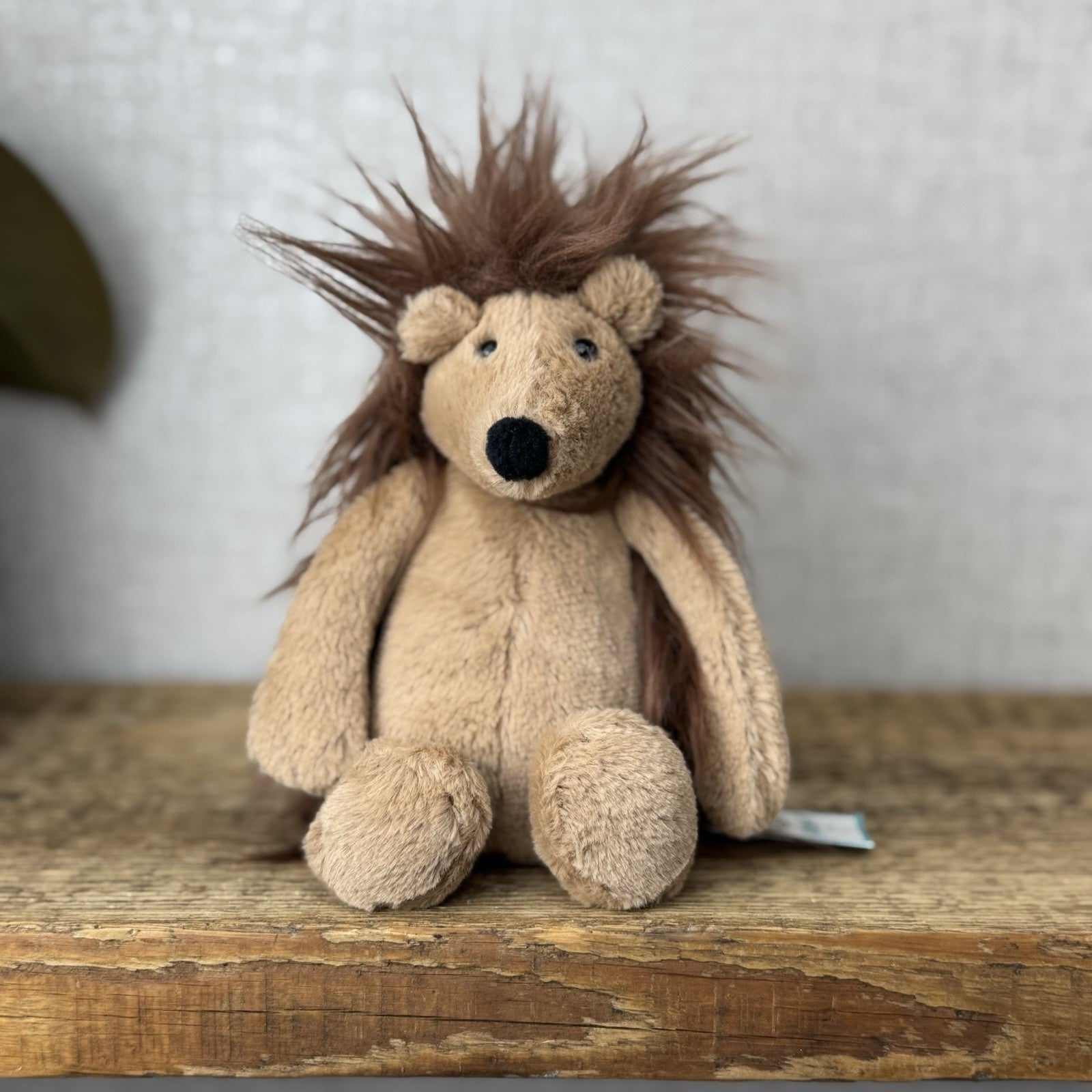 Jellycat Small Spike Hedeghog - Light Brown Beanie Hedgehog Plush New With Tag