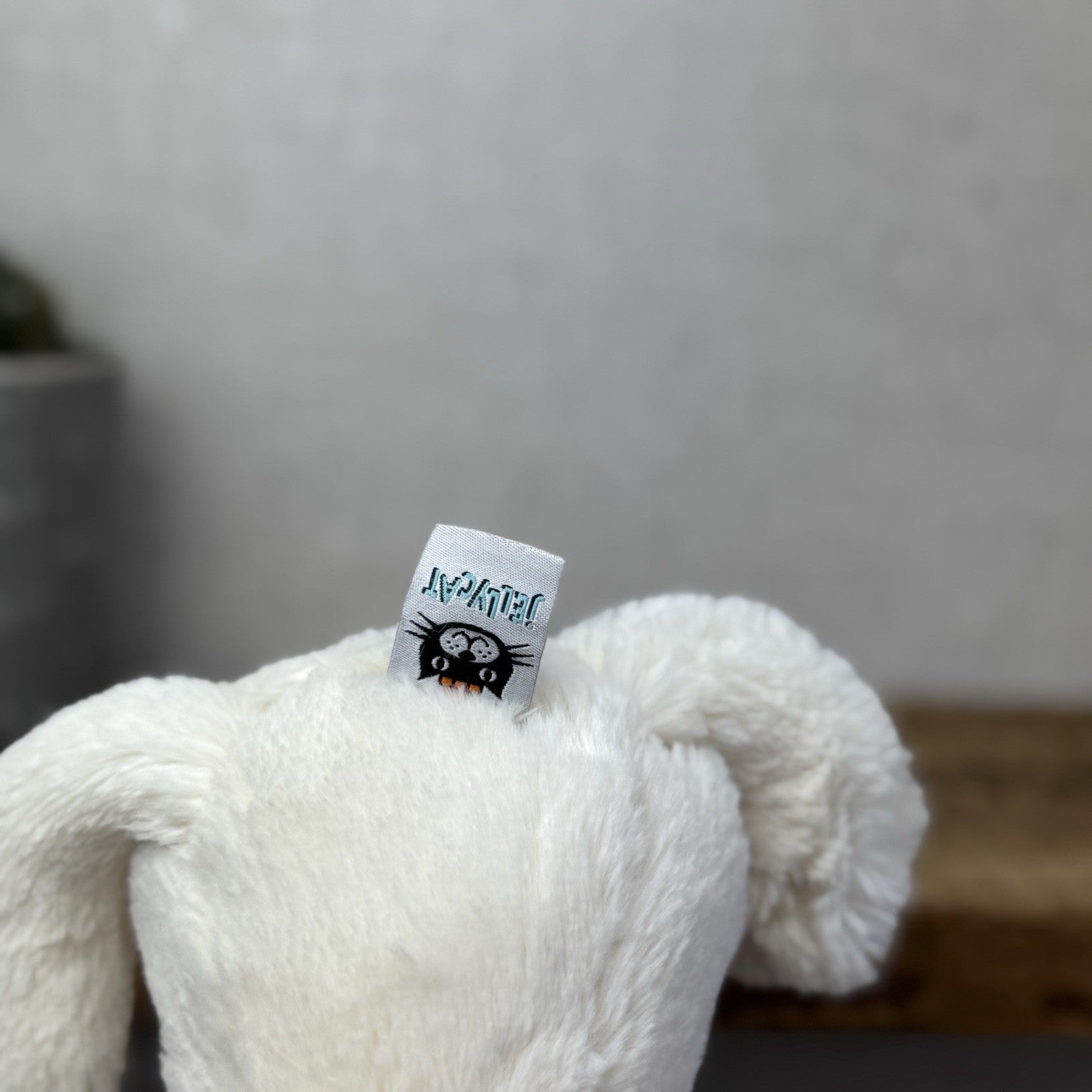 Jellycat Medium Bashful Cream Cat Kitten - Cream Cat With Whiskers Retired 12”