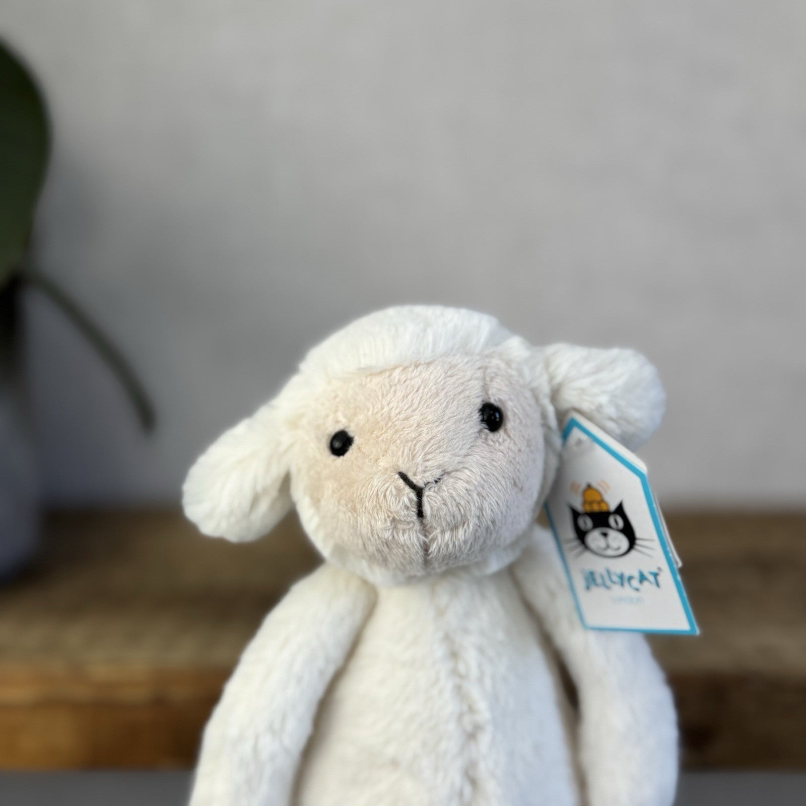 Jellycat Small Bashful Lamb Soft Toy Sheep New With Tags Cream Beanie 8” Tags