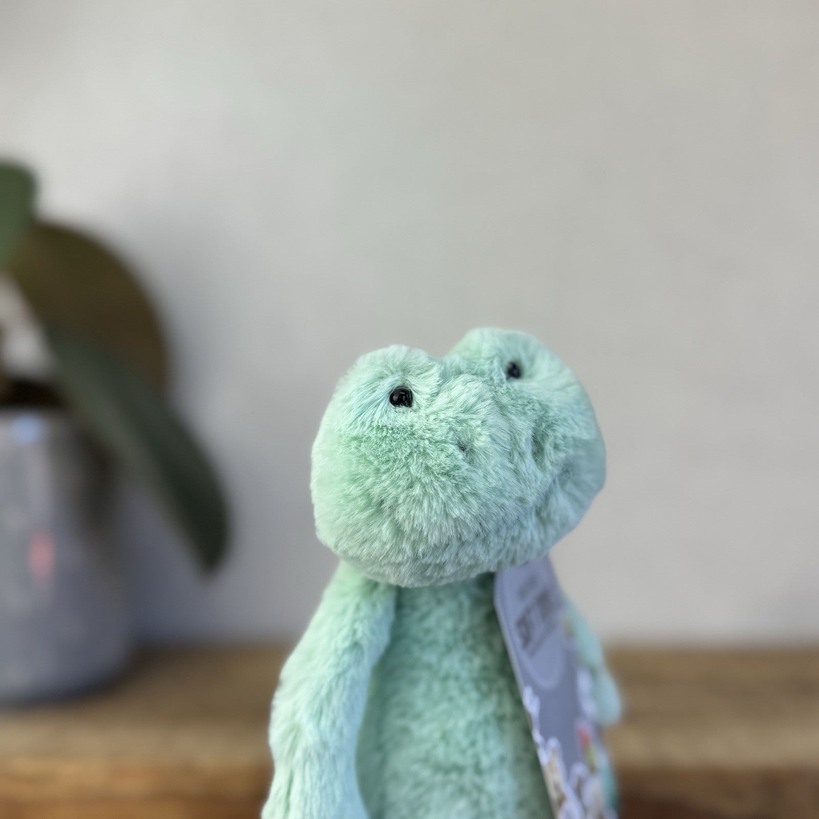 Jellycat Small Bashful Mint Green Frog Soft Beanie Plush Rare And Retired 8”