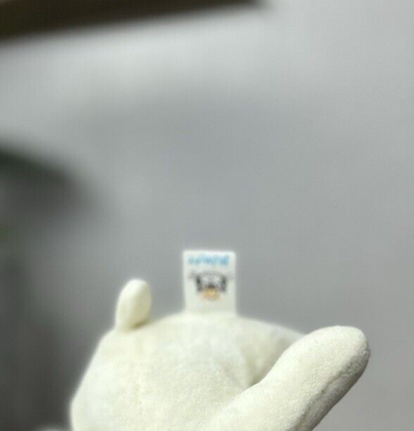 Jellycat Squidgikins Lamb - Small Vintage Beanie Velour - White Lamb Beanie 5"