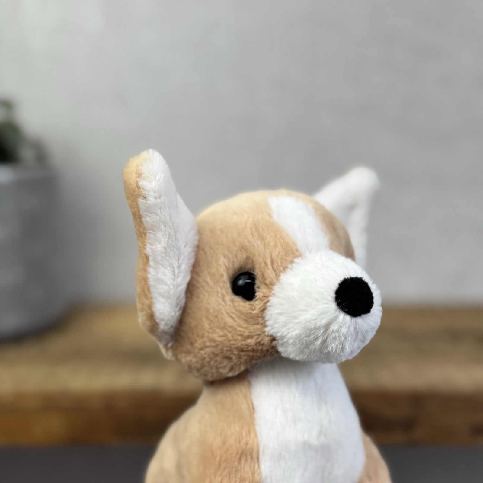 Jellycat Isobel Chihuahua - Small Soft Toy Dog Plush Beanie Cute Puppy 7"