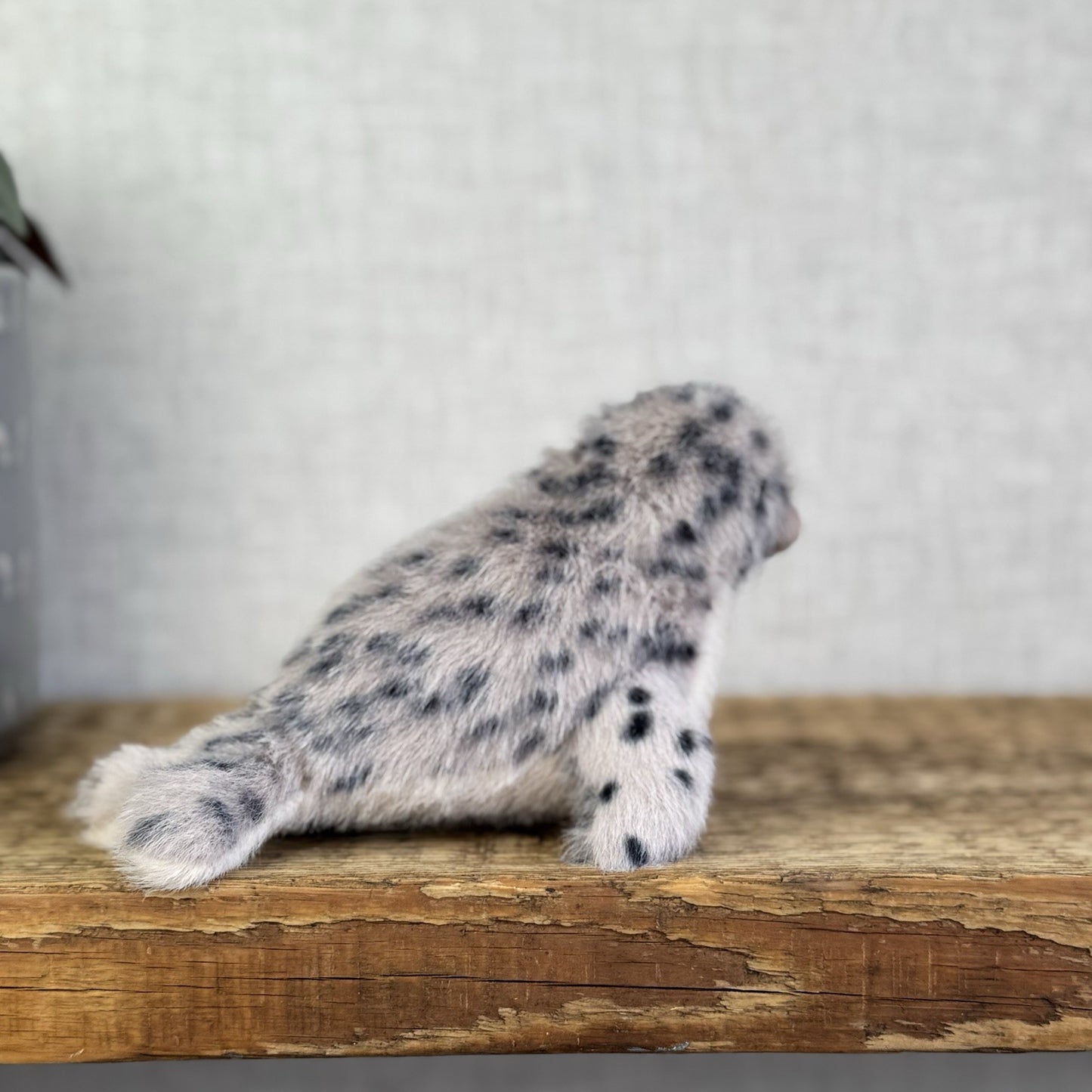 Jellycat Nauticool Spotty Seal - Mini Fluffy Grey Spotty Seal Beanie Plush Tags