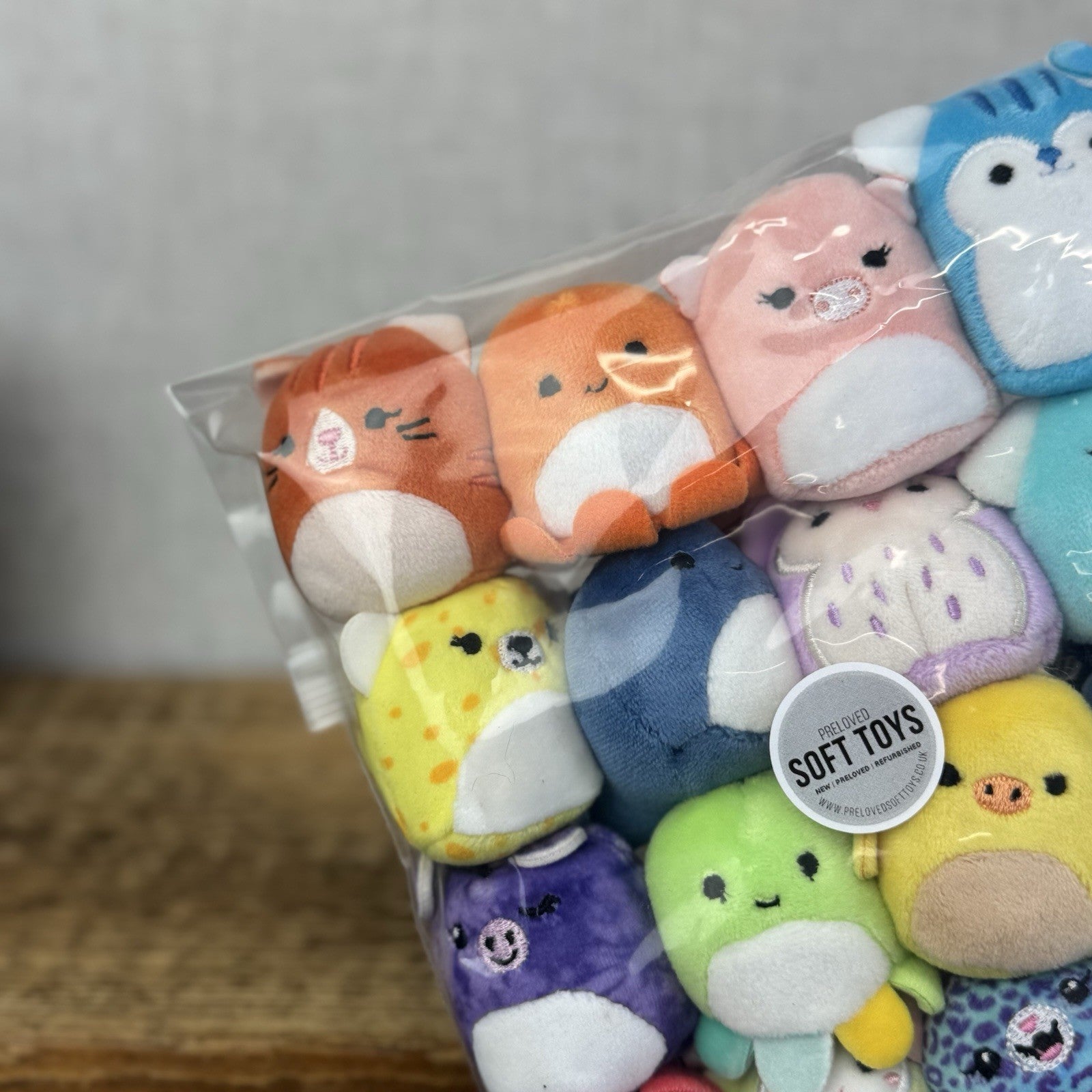 Squishmallow Squishville - Brilliant Bestie Squad (Mixed Animals) x20 Bundle