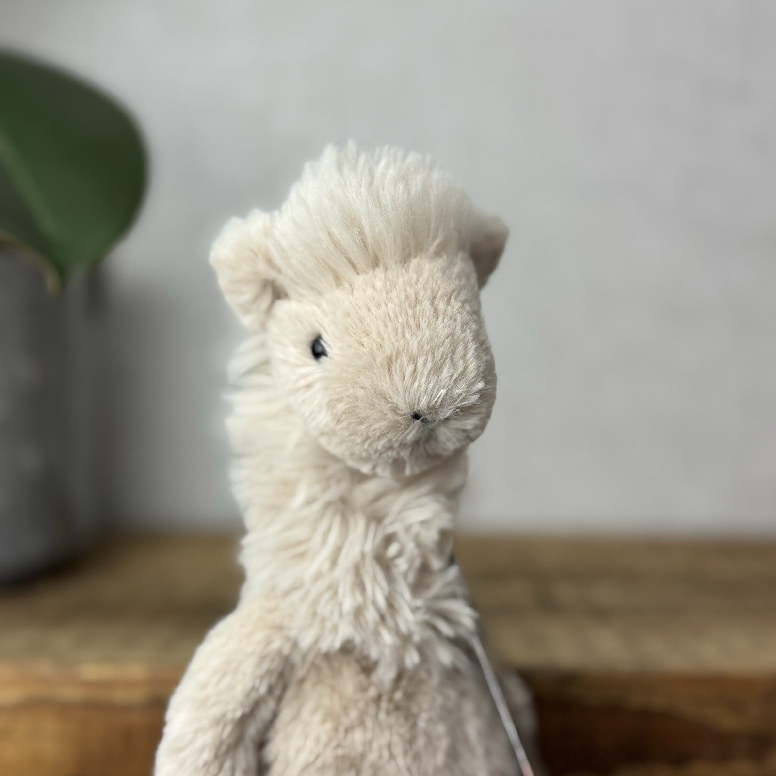 Jellycat Small Bashful Llama - Little Llama Light Beige Beanie Plush Teddy 8”