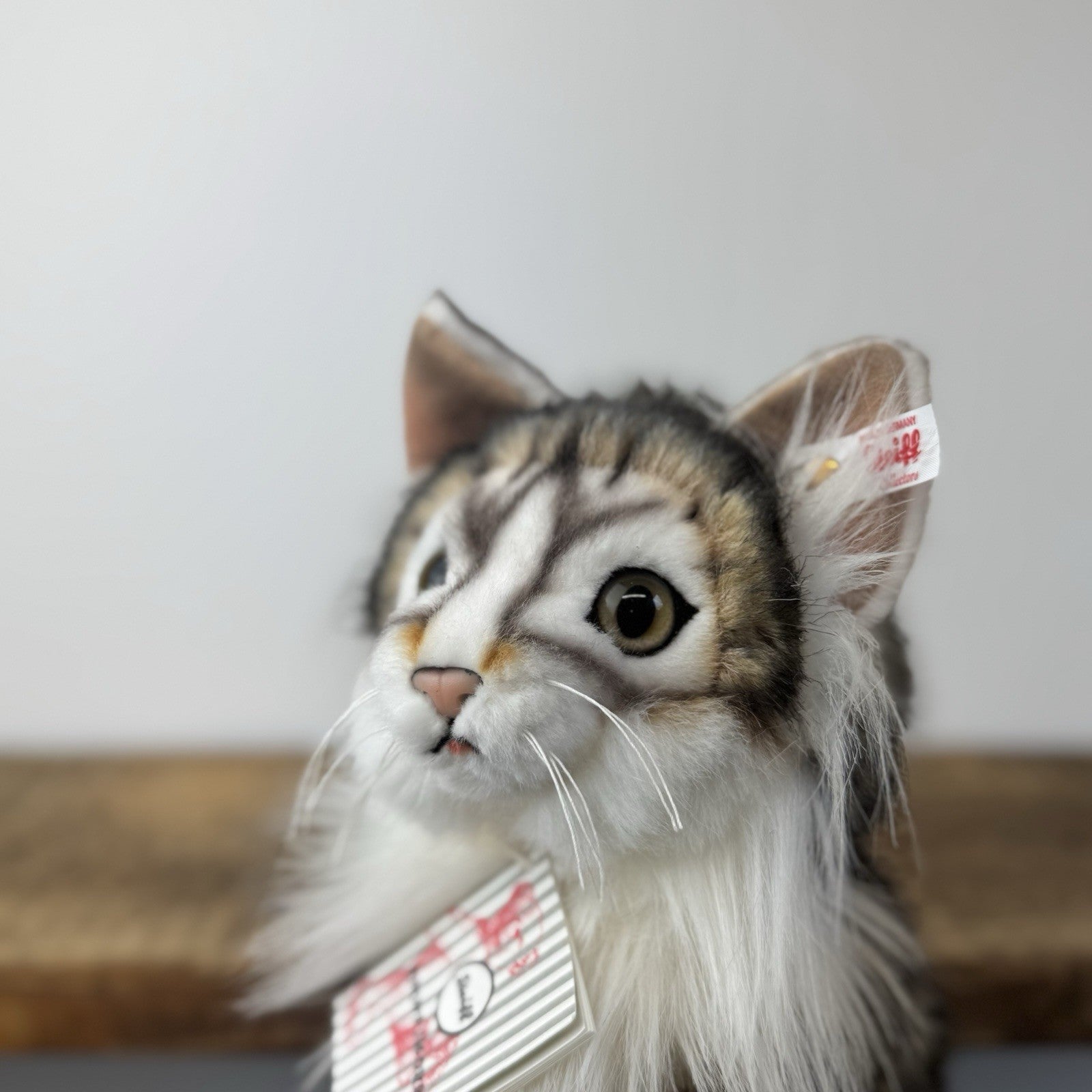 Steiff - Lesley Anne Ivory's Agneatha Cat Limited Edition RARE (EAN 690716) 2019