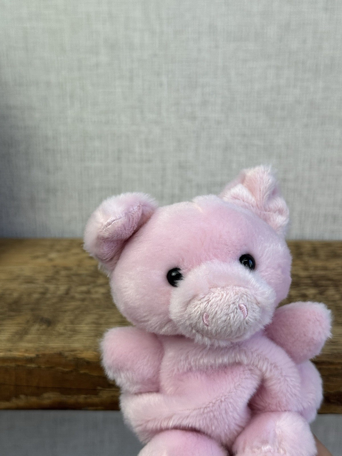 Aurora - Palm Pals Mini Beanbag Plush - Wizard The Pig Pink Piglet 5"
