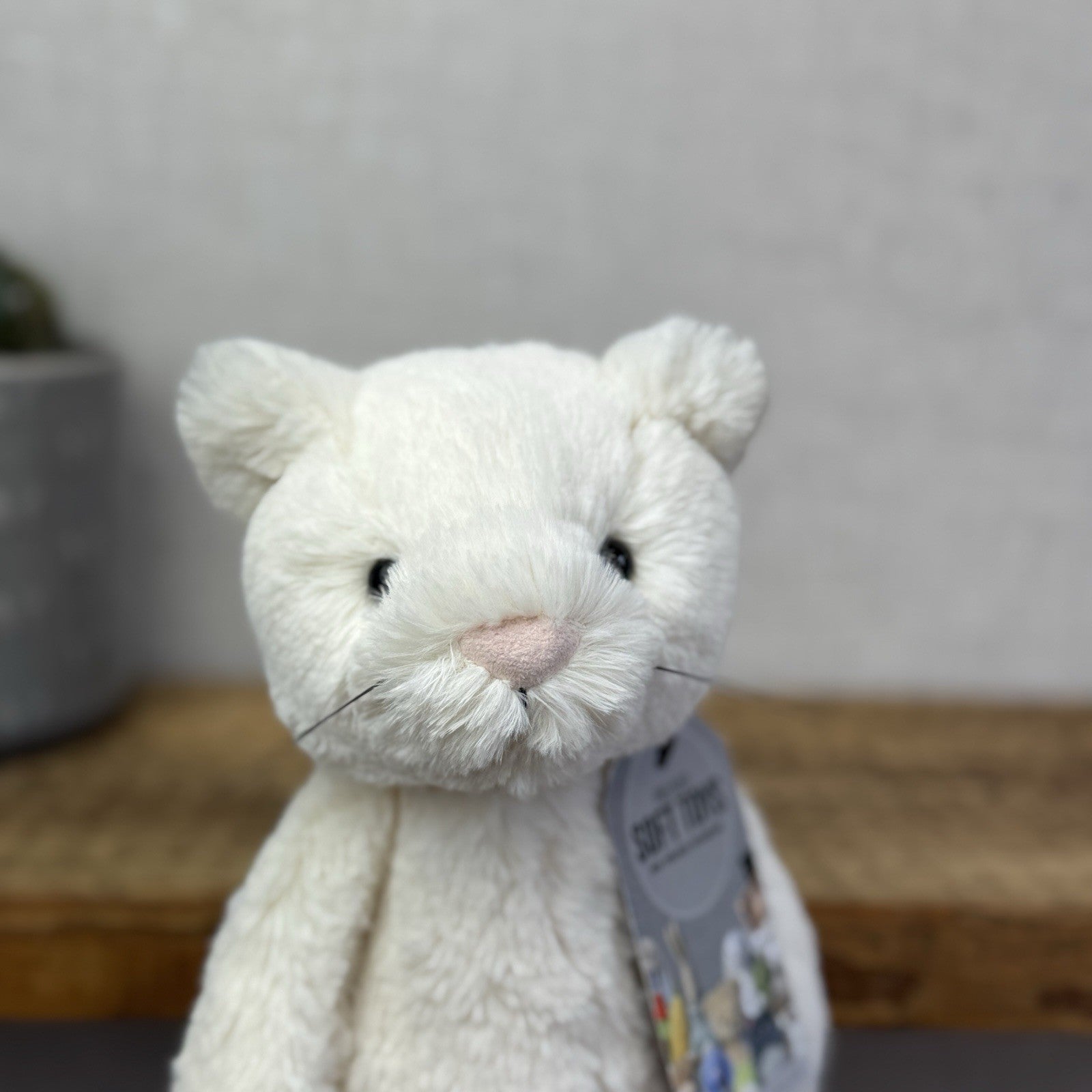 Jellycat Medium Bashful Cream Cat Kitten - Cream Cat With Whiskers Retired 12”
