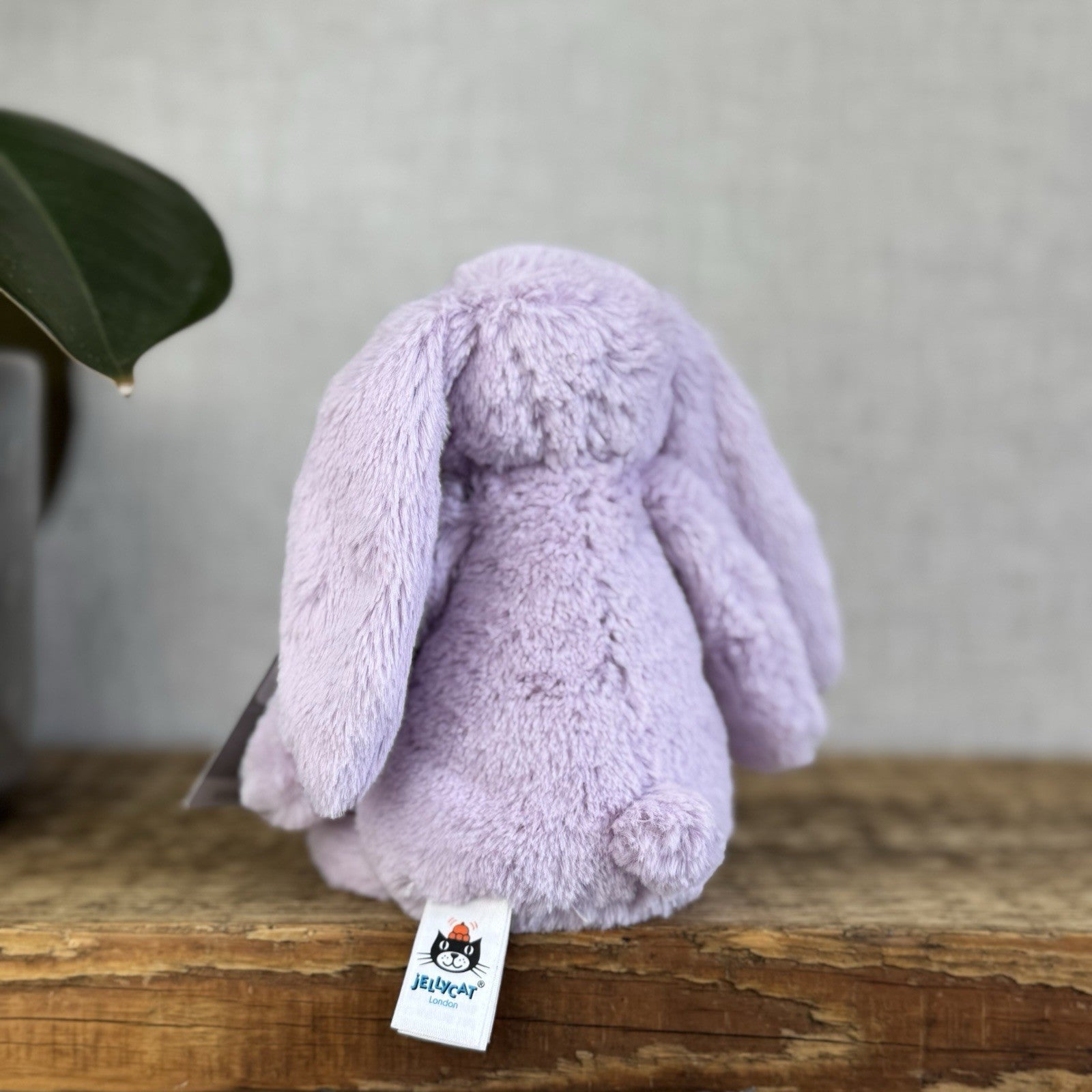 Jellycat Small Hyacinth Bashful Bunny - Little Lilac Purple Bunny Rabbit 8”