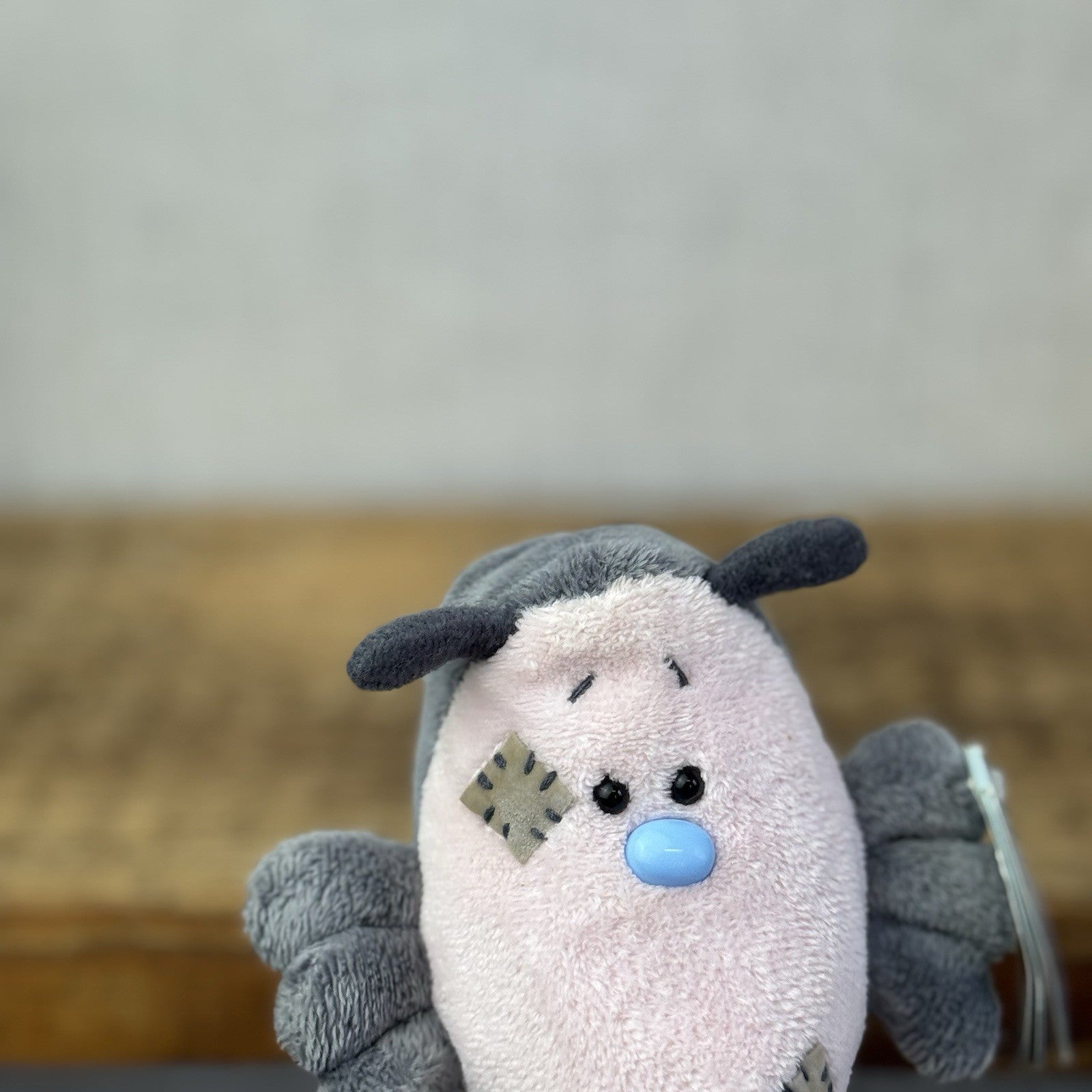 Blue Nose Friends Shelter Woodlouse Mini Bug Collectible Carte Blanche #101