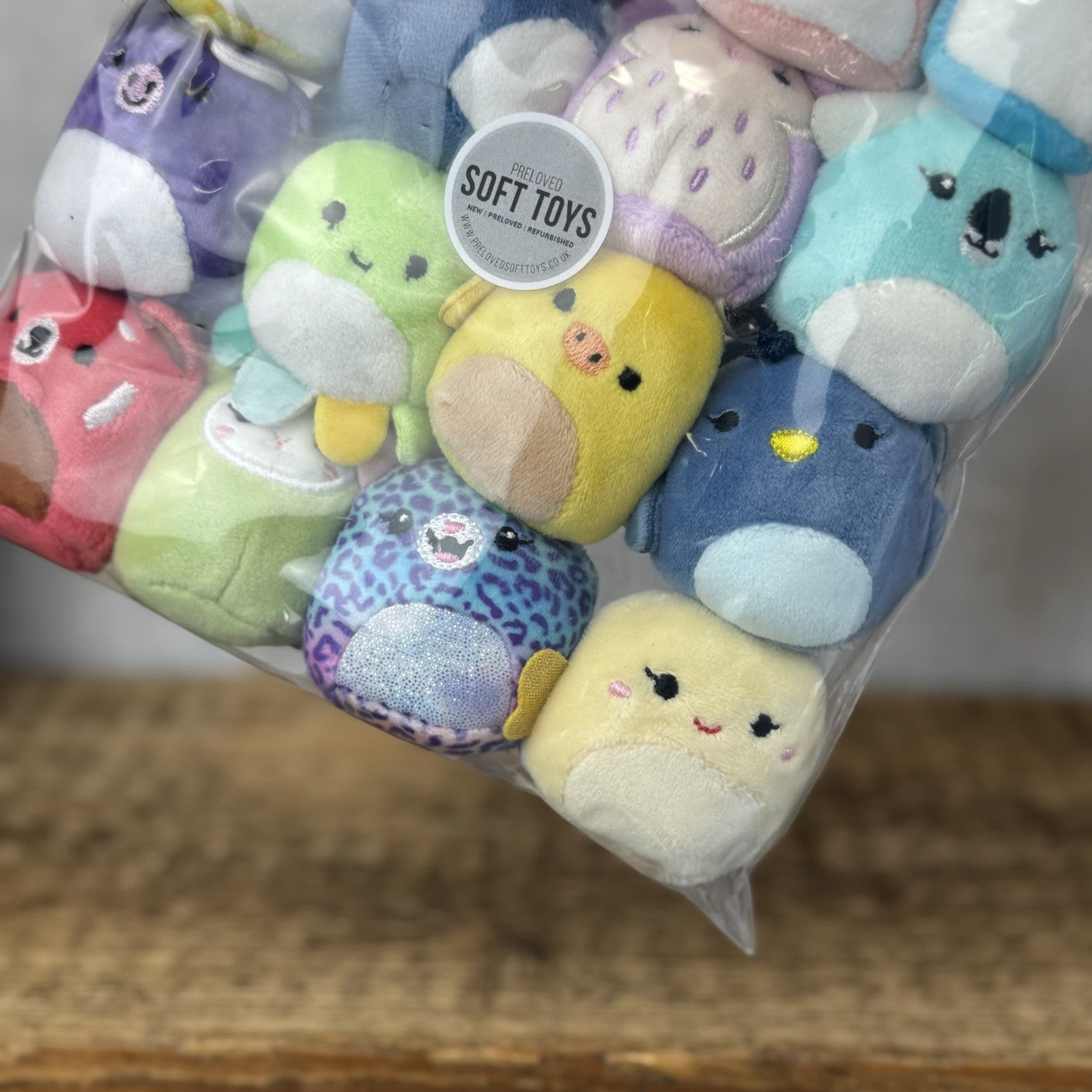 Squishmallow Squishville - Brilliant Bestie Squad (Mixed Animals) x20 Bundle