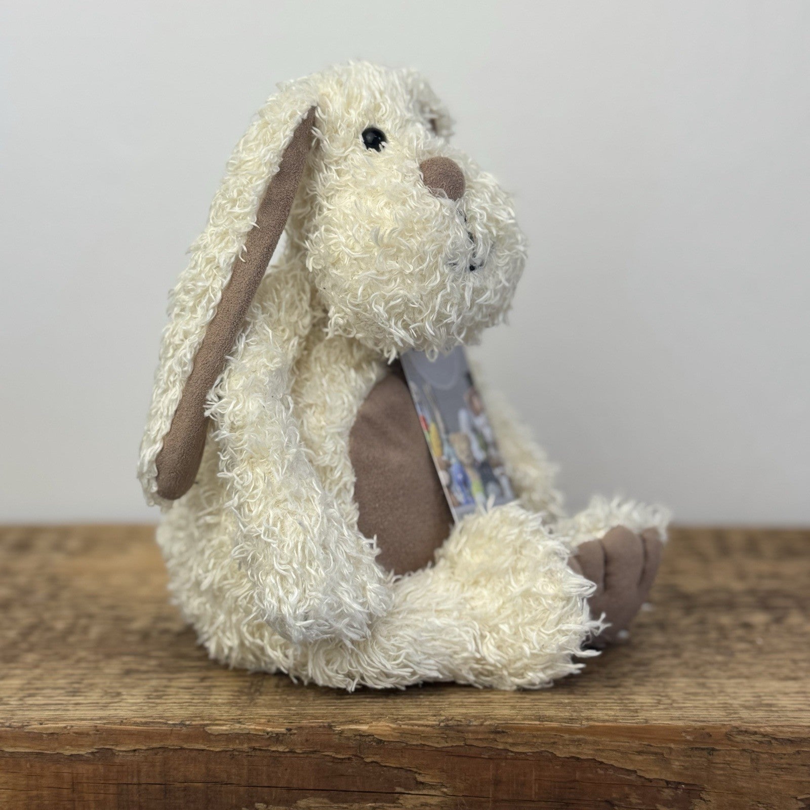Jellycat Pootle Bunny - Vintage Chubby Bunny Collectible Retired Soft Toy 12"