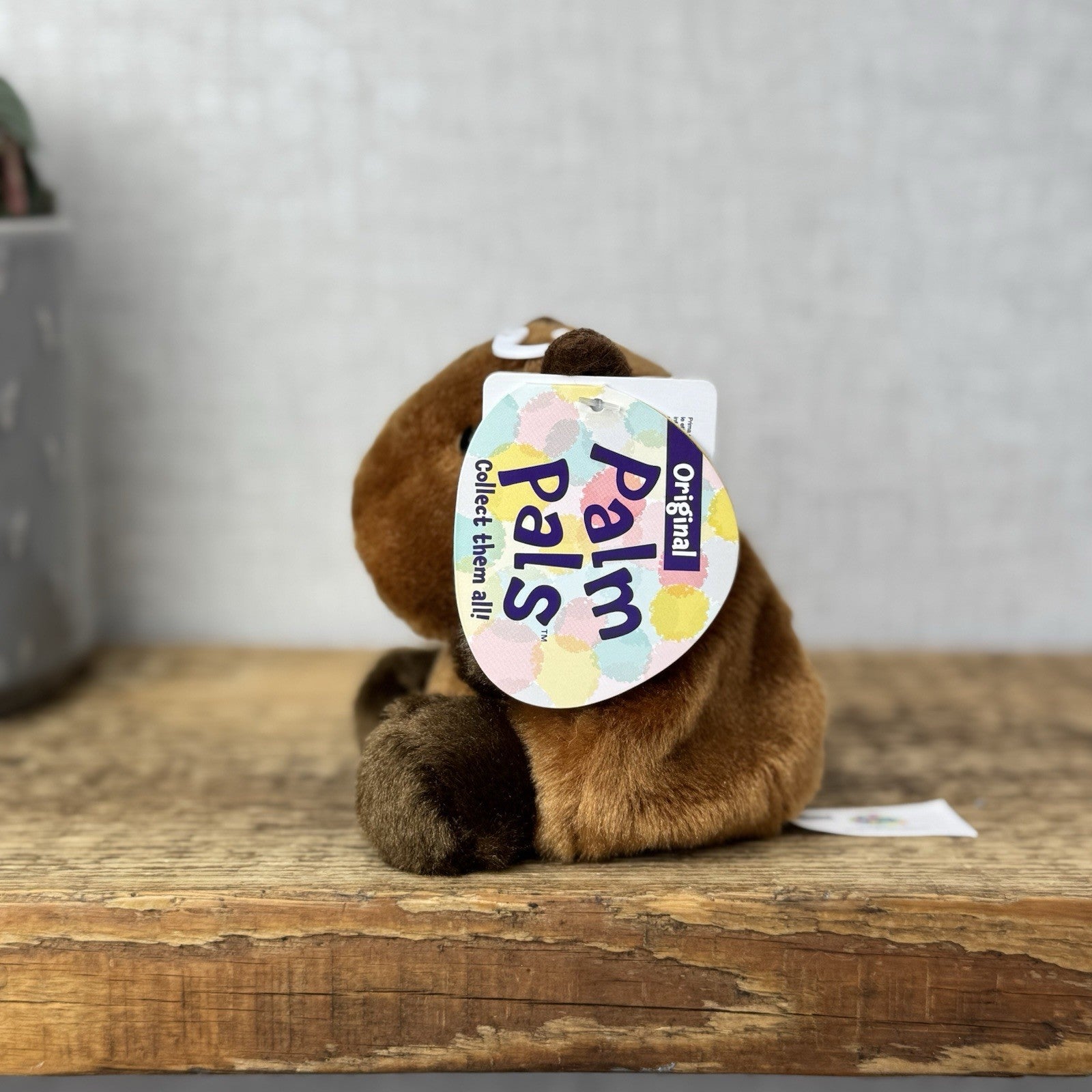 Aurora - Sid Capybara - Palm Pals Mini Beanbag Plush Mini Capybara Plush Toy 5”