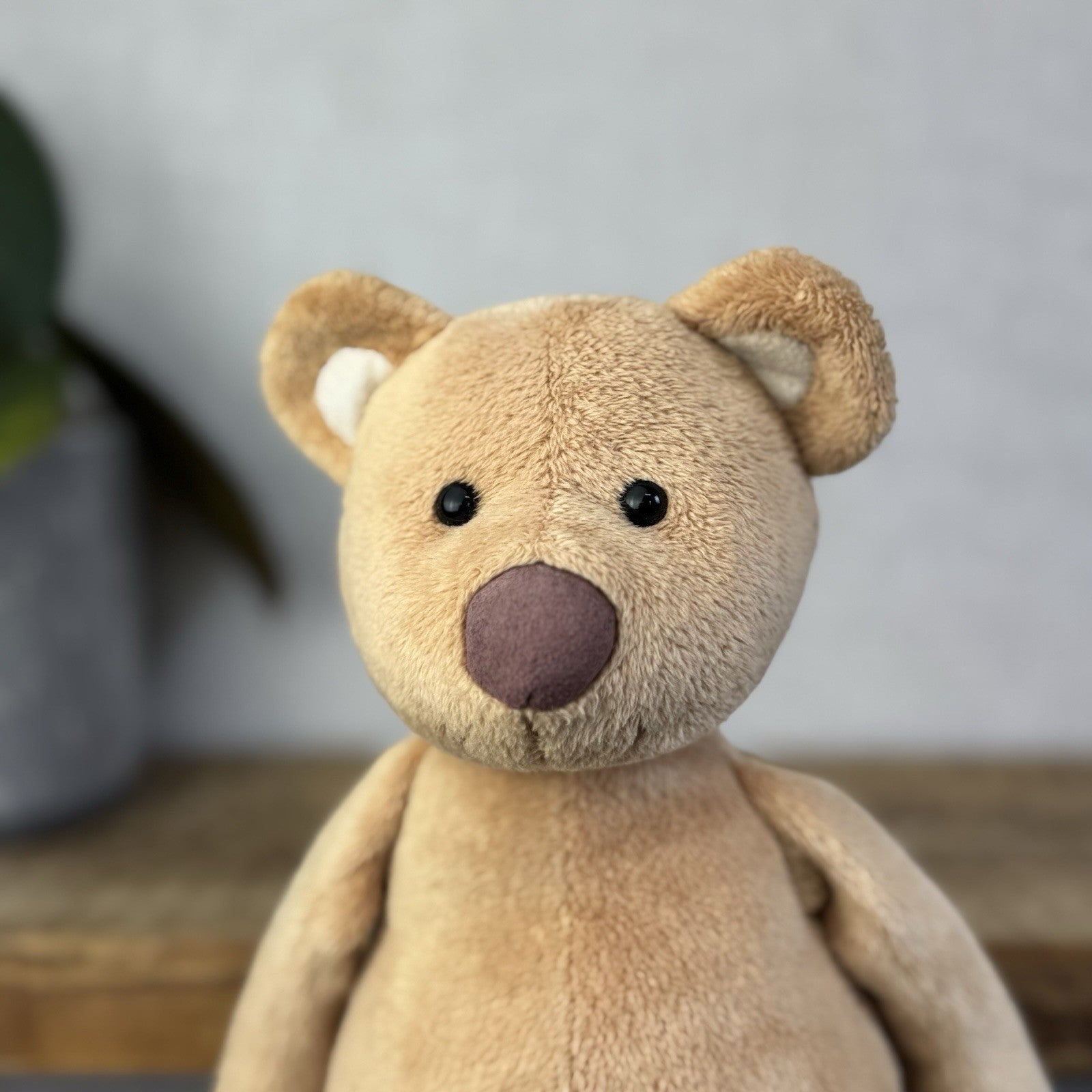 Jellycat JellyKitten Traditional Teddy Bear Beige Tan New Without Tags 12” Rare