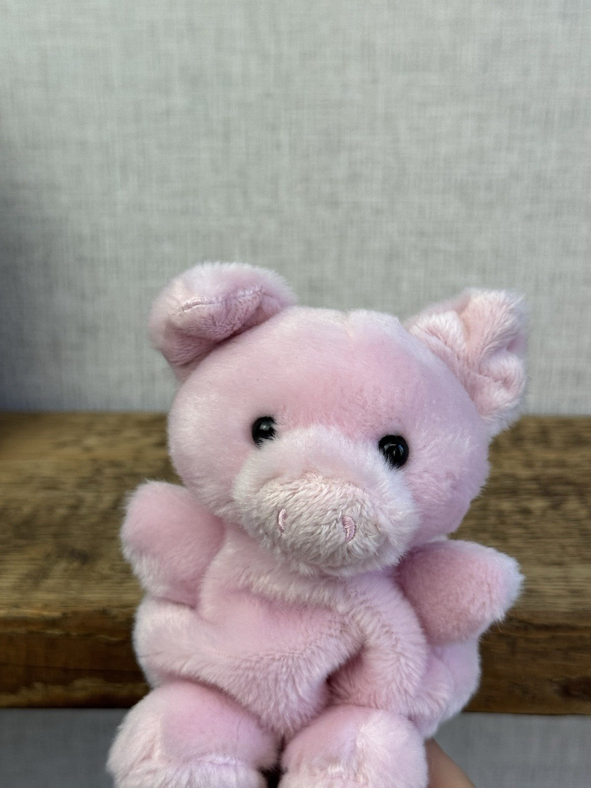 Aurora - Palm Pals Mini Beanbag Plush - Wizard The Pig Pink Piglet 5"