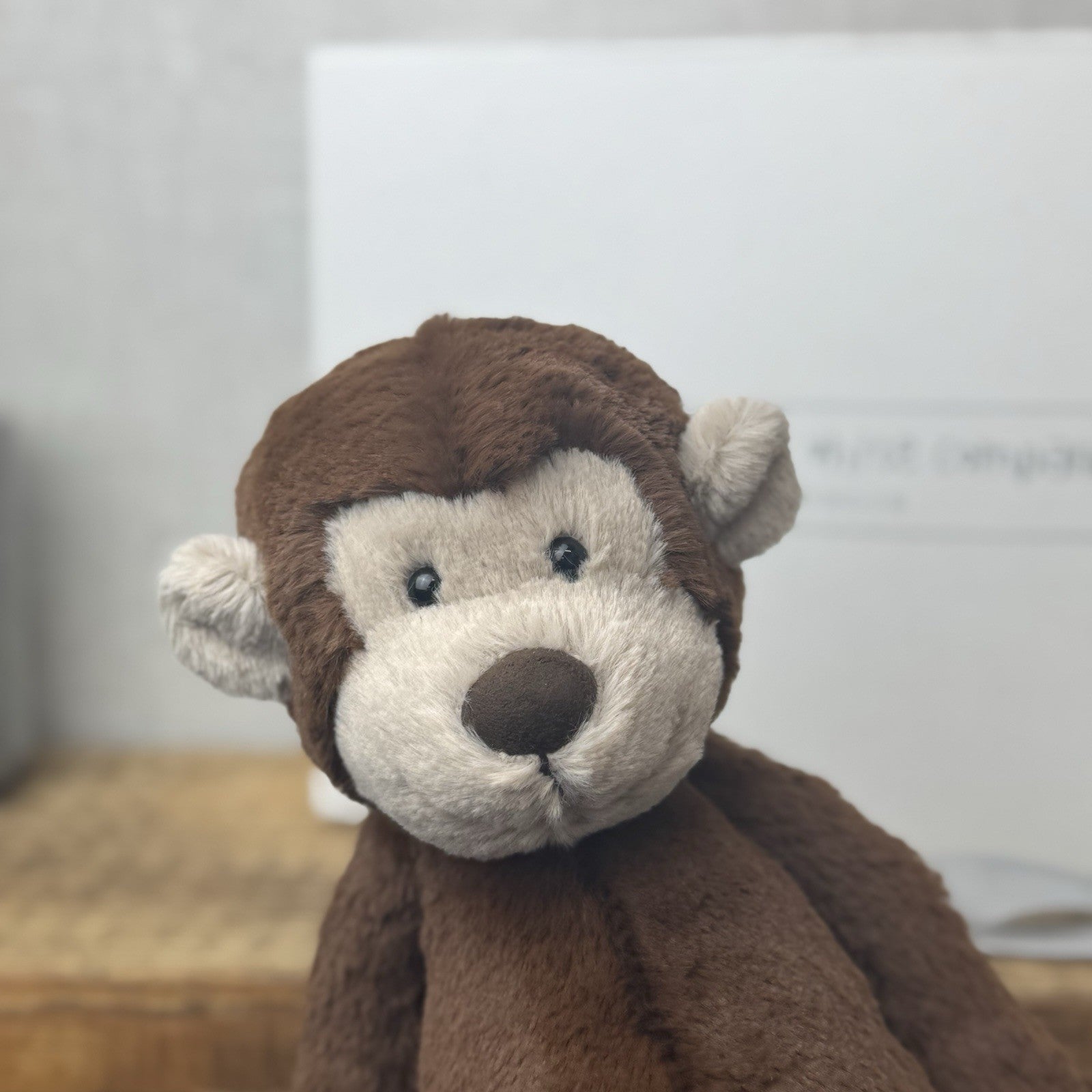 Jellycat Medium Morris Monkey (White Company Exclusive) Chocolate Brown New Tag