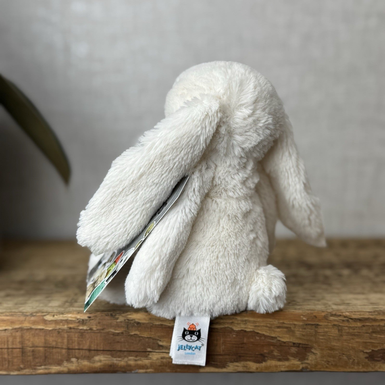 Jellycat Small Twinkle Bunny - Cream Rabbit With Star Ears - Small Cream 8”