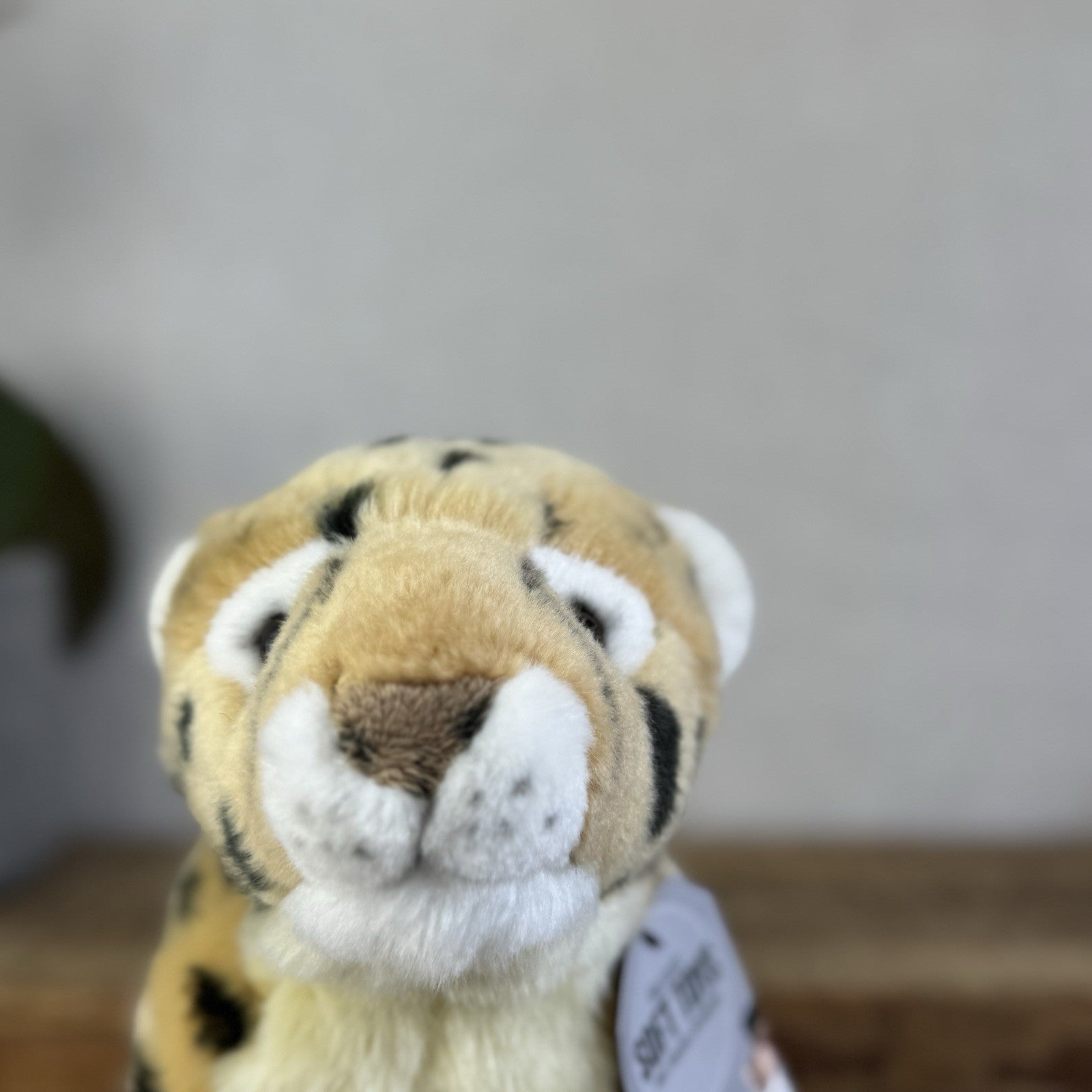 Keel Toys Signature Leopard - Small Leopard Plush Toy Realistic Wild Cat 8"