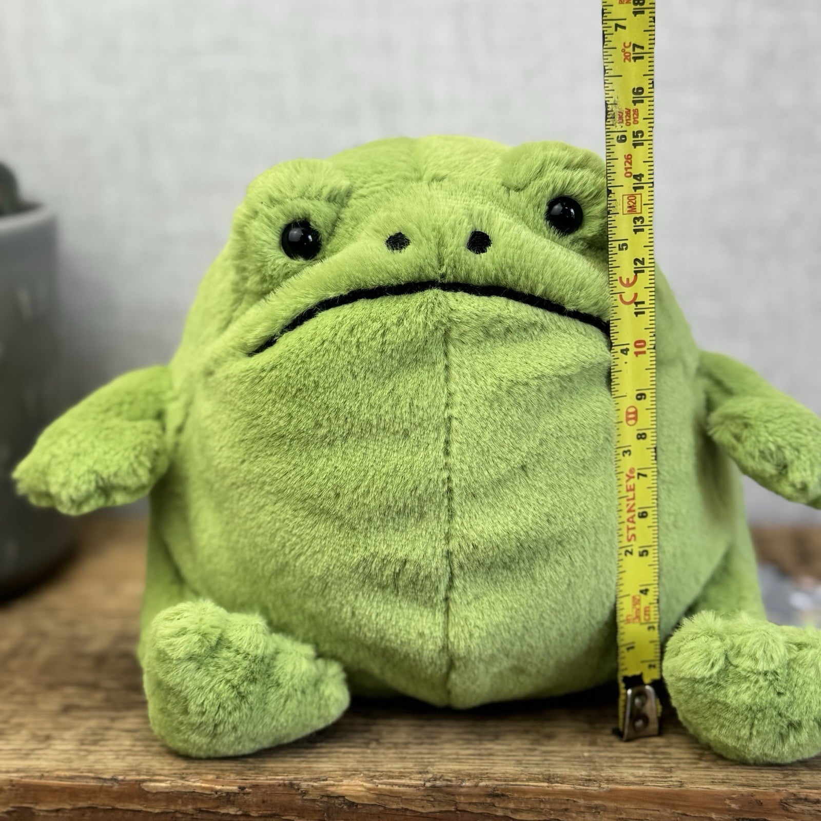 Jellycat Ricky Rain Frog - Green Soft Toy Frog Beanie Plush Medium 7"
