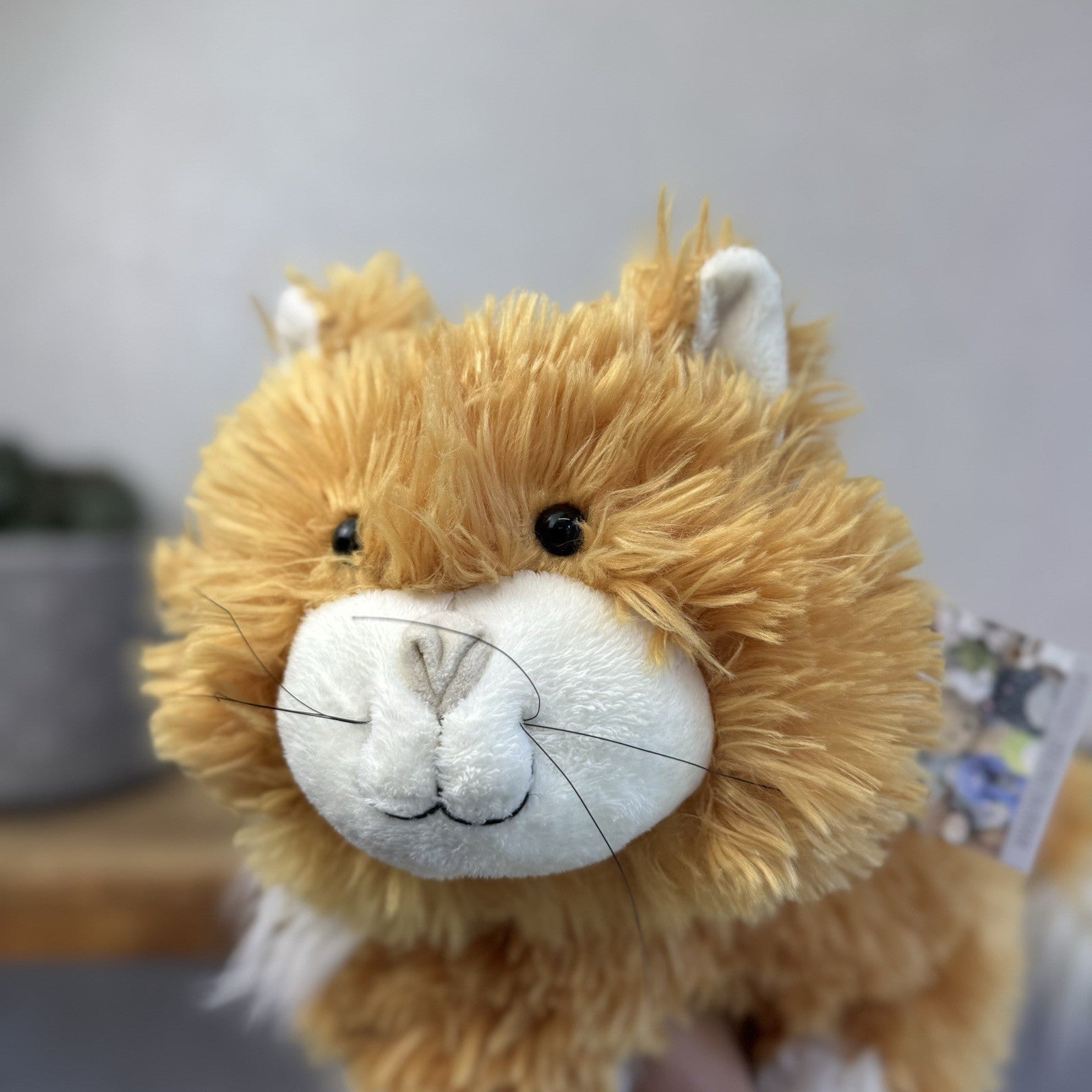 Jellycat Medium Truffles Vintage Ginger Cat - Cat Floppy Pillow Beanie Rare NWOT