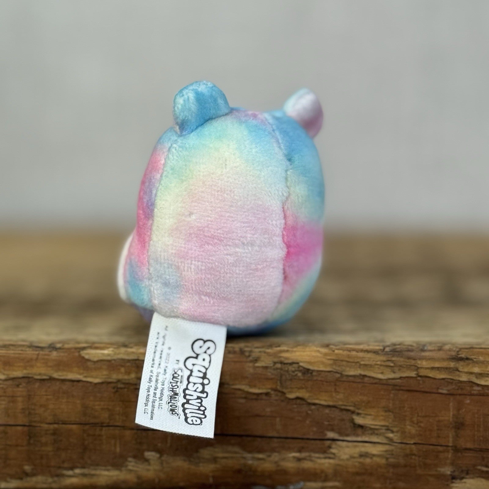 Squishmallow Squishville - Carlito Frog Tye Dye Pink/Blue (Multi Buy Discount)
