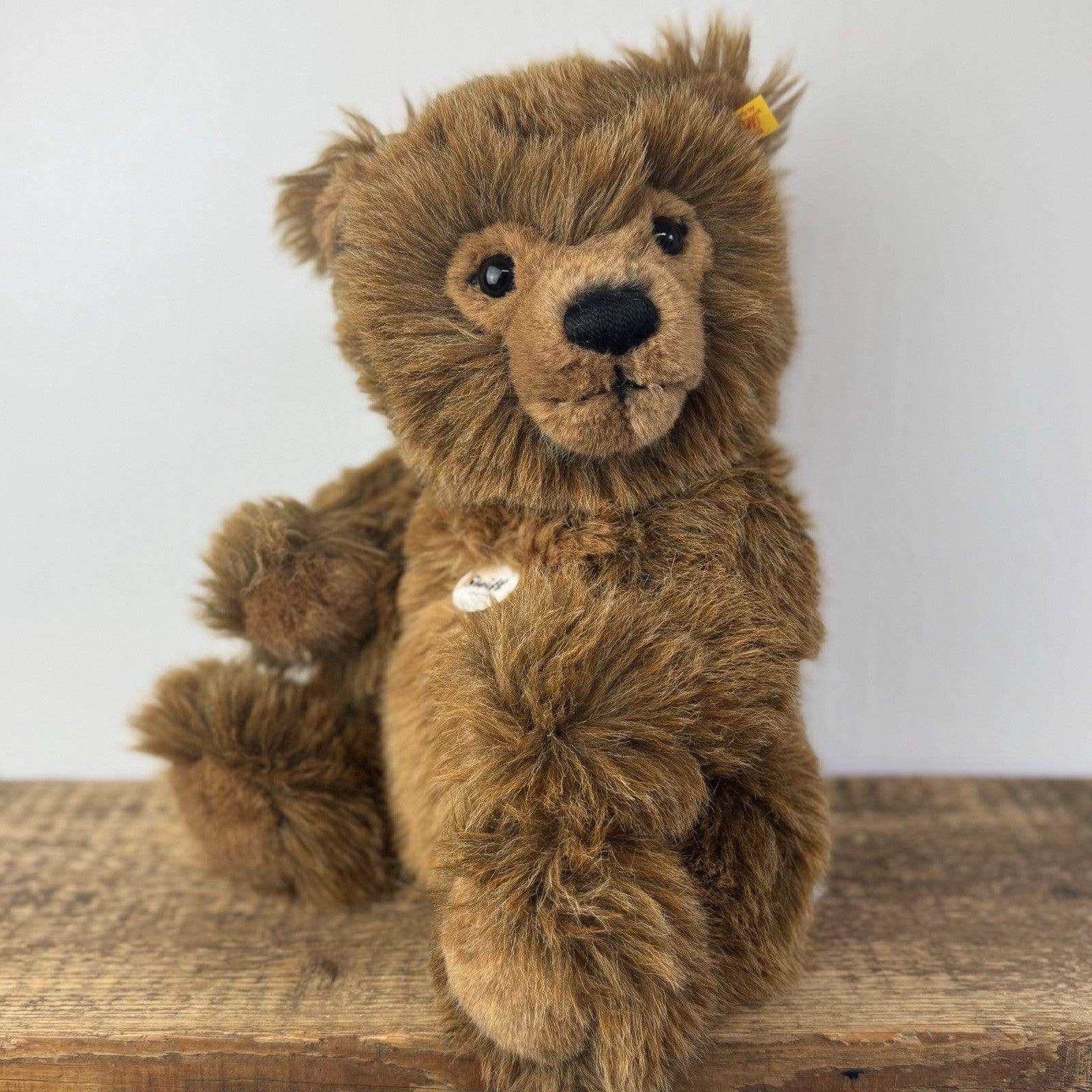 Steiff Grizzly Ted 10651 - Medium Fully Jointed Retired Bear (NWOT)