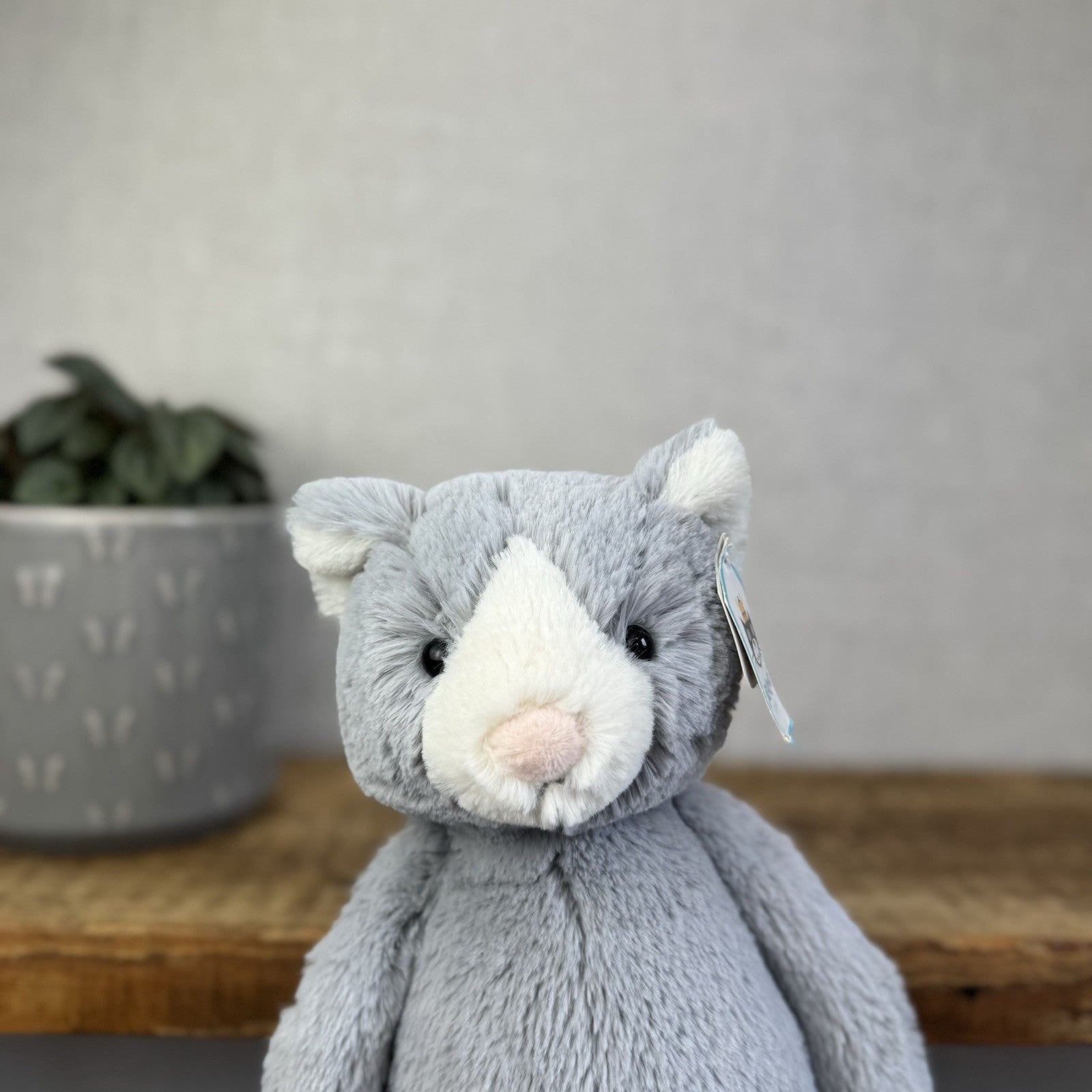 Jellycat Medium Bashful Cat - Grey/White Medium Kitten Plush - With Tags