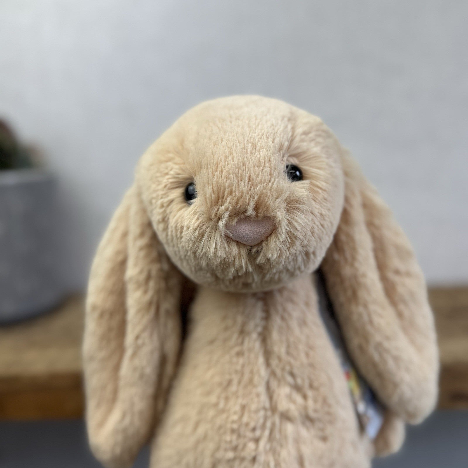 Jellycat Medium Bashful Honey Bunny - Rare Retired Medium Rabbit 12”