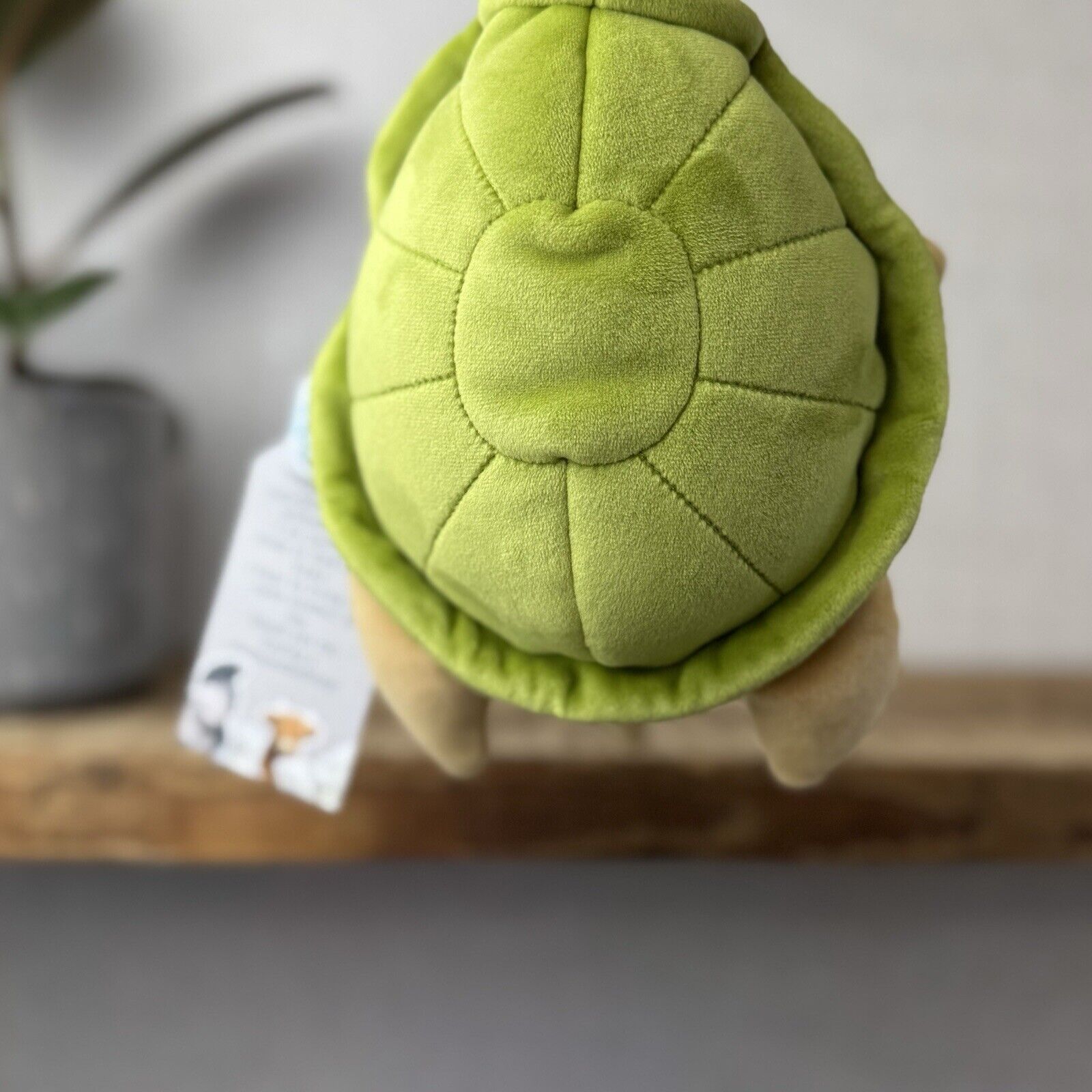 Jellycat Large CeeCee Turtle - Large Velour Turtle Beanie Plush Retired Sea 12"