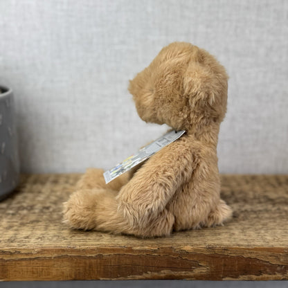 Jellycat Small Benjamin Bear - Maple Colour Small Beanie Bear Plush NWOT 10"