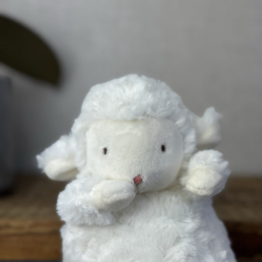 Bunnies By The Bay - Wee Kiddo Lamb Small White Beanie Lamb Soft Toy NWOT Cute