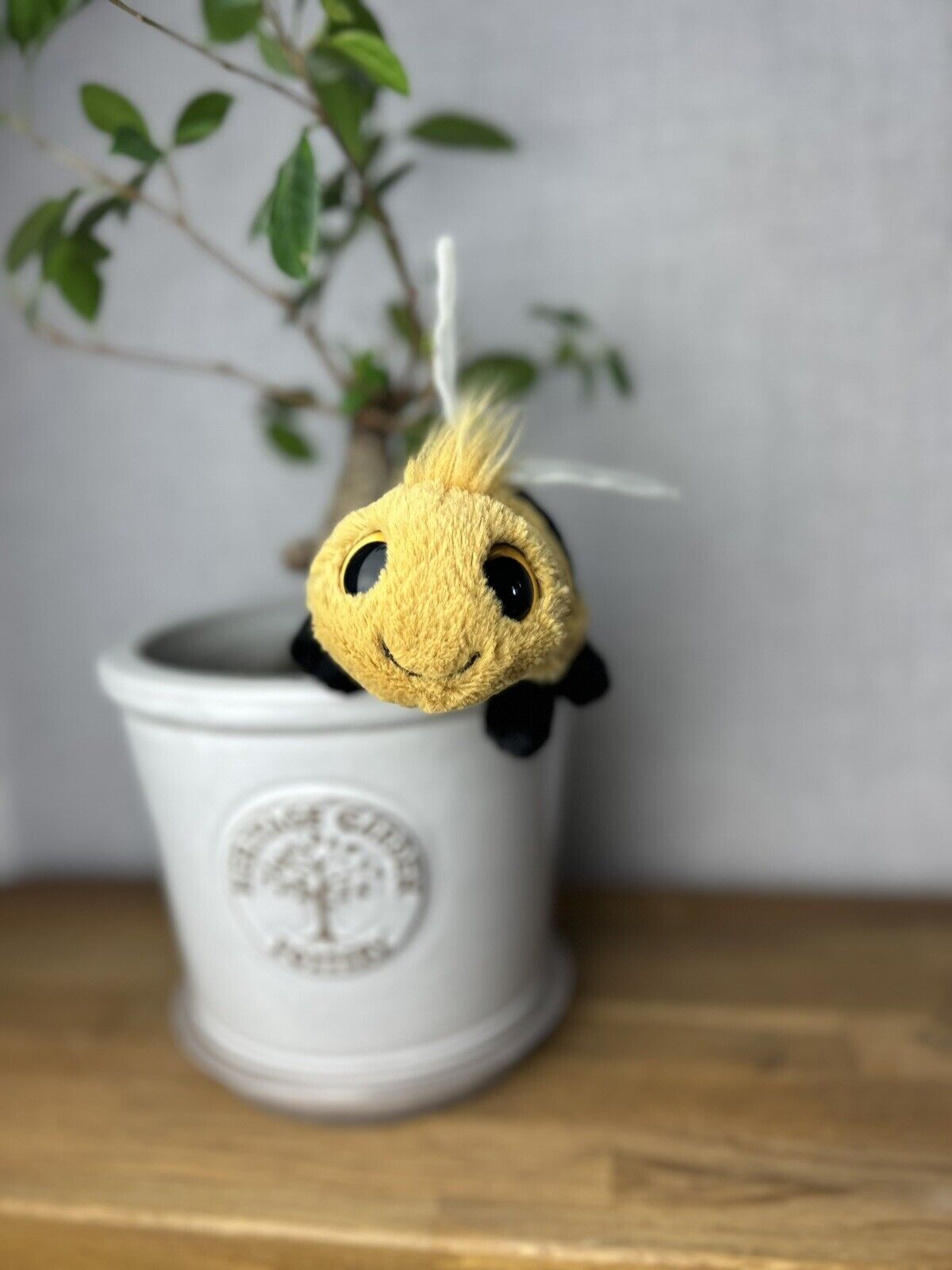 Jellycat Frizzles Bee - Jellycat Small Bee  - Frizzles - Big Eye Bee Bug Small
