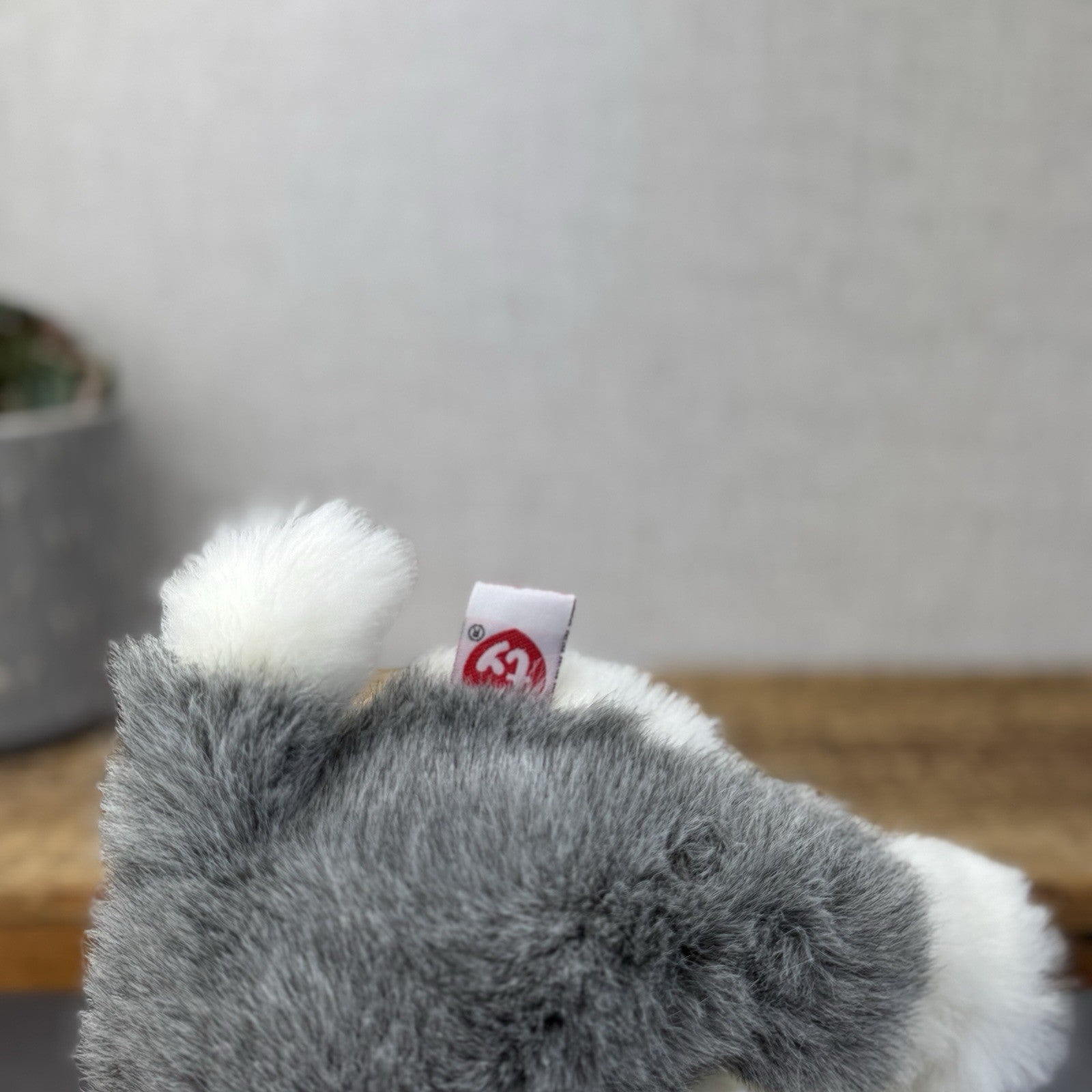 TY Dakota Husky Dog Classic Beanie Babies Soft Toy Pristine New With Tags 10"