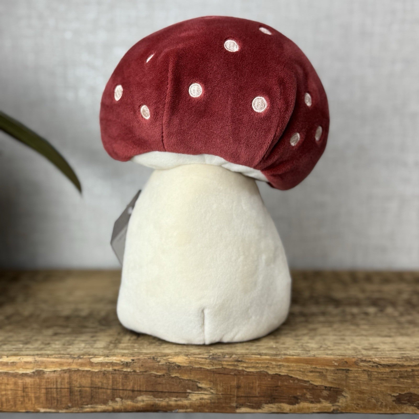 Jellycat Forest Fauna Mushroom Frog - Toadstool House Mini Frog Beanie Plush 8"