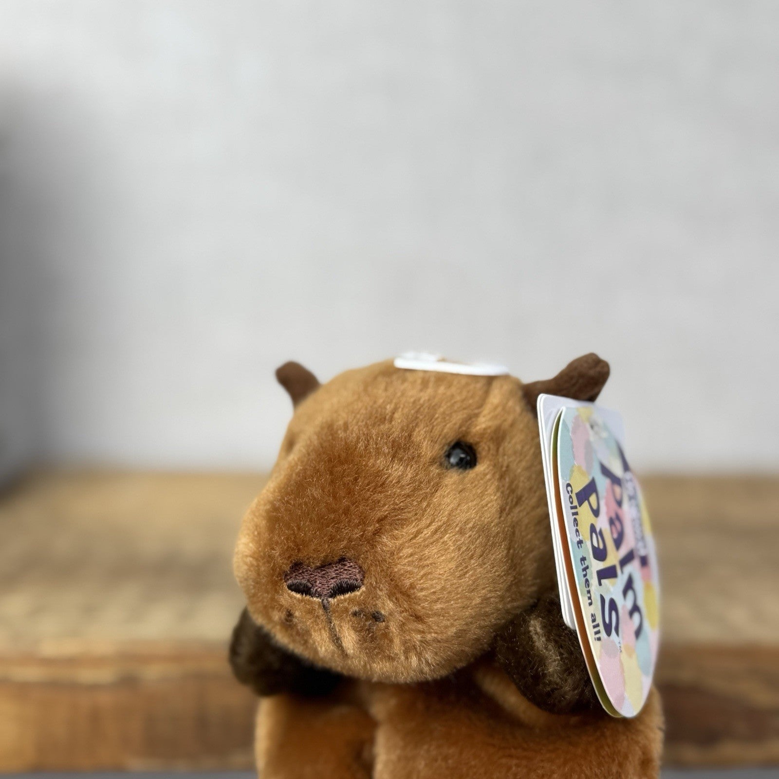 Aurora - Sid Capybara - Palm Pals Mini Beanbag Plush Mini Capybara Plush Toy 5”