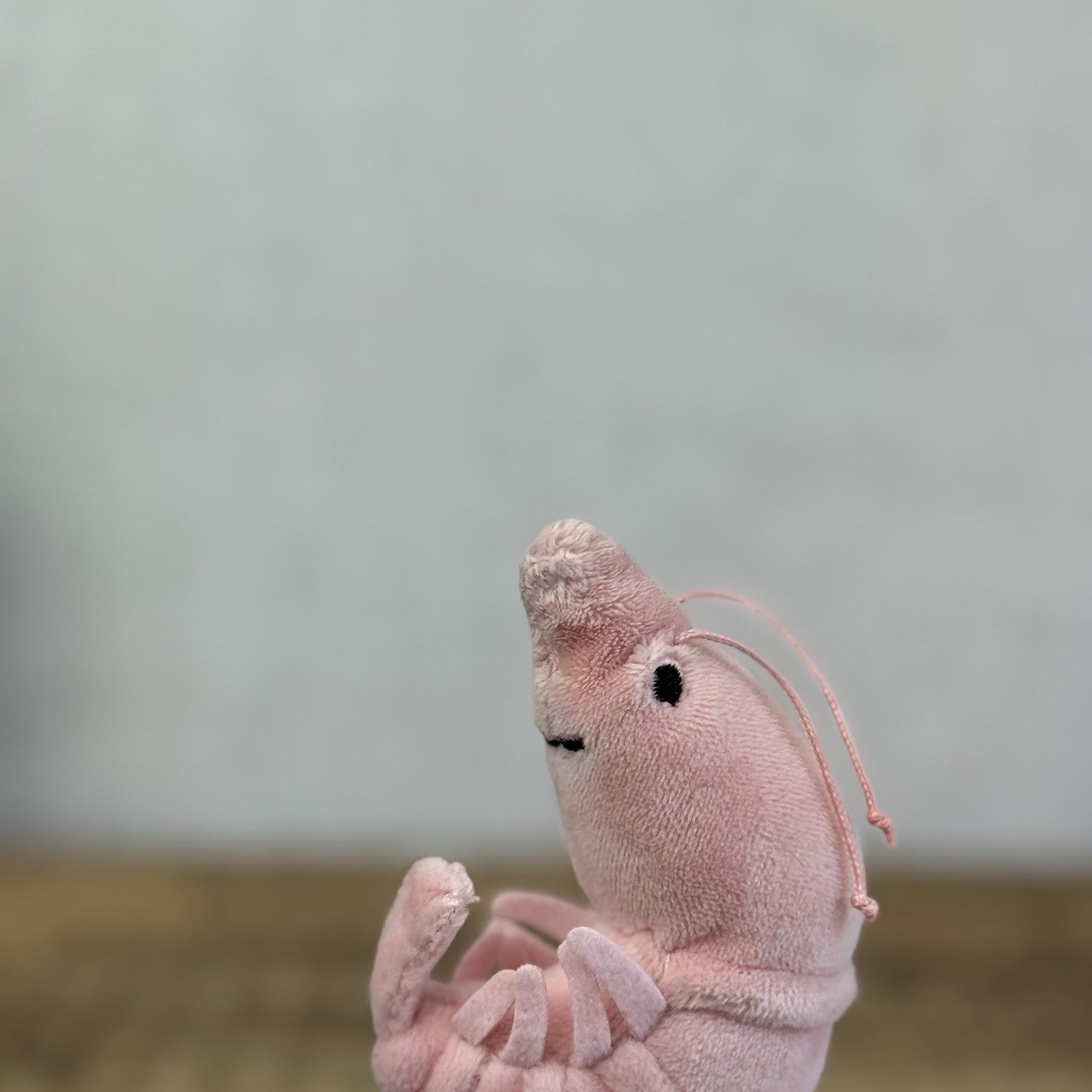 Jellycat Sensational Seafood Shrimp - Small seafood Play Toy Retired 4"
