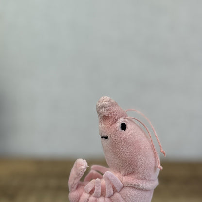 Jellycat Sensational Seafood Shrimp - Small seafood Play Toy Retired 4"