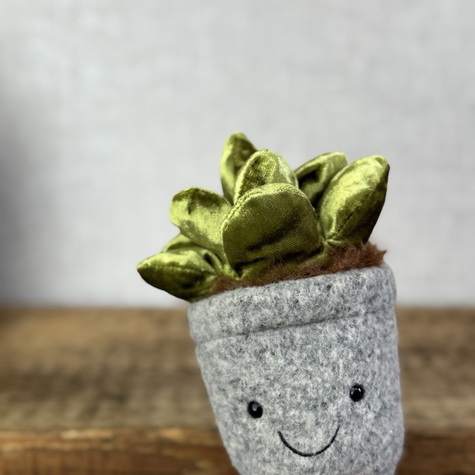 Jellycat Amuseable Silly Succulent Jade - Velour Green Small Potted Succulent 6”