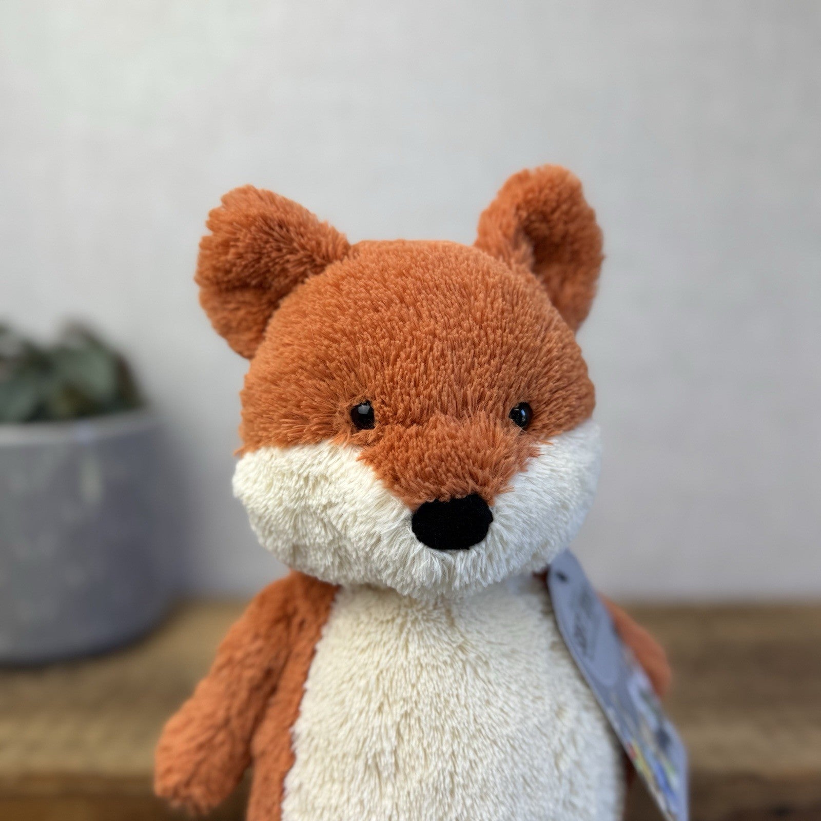 Jellycat Peanut Fox - Medium Peanut Scruffy Small Chubby Red Fox Beanie 12"