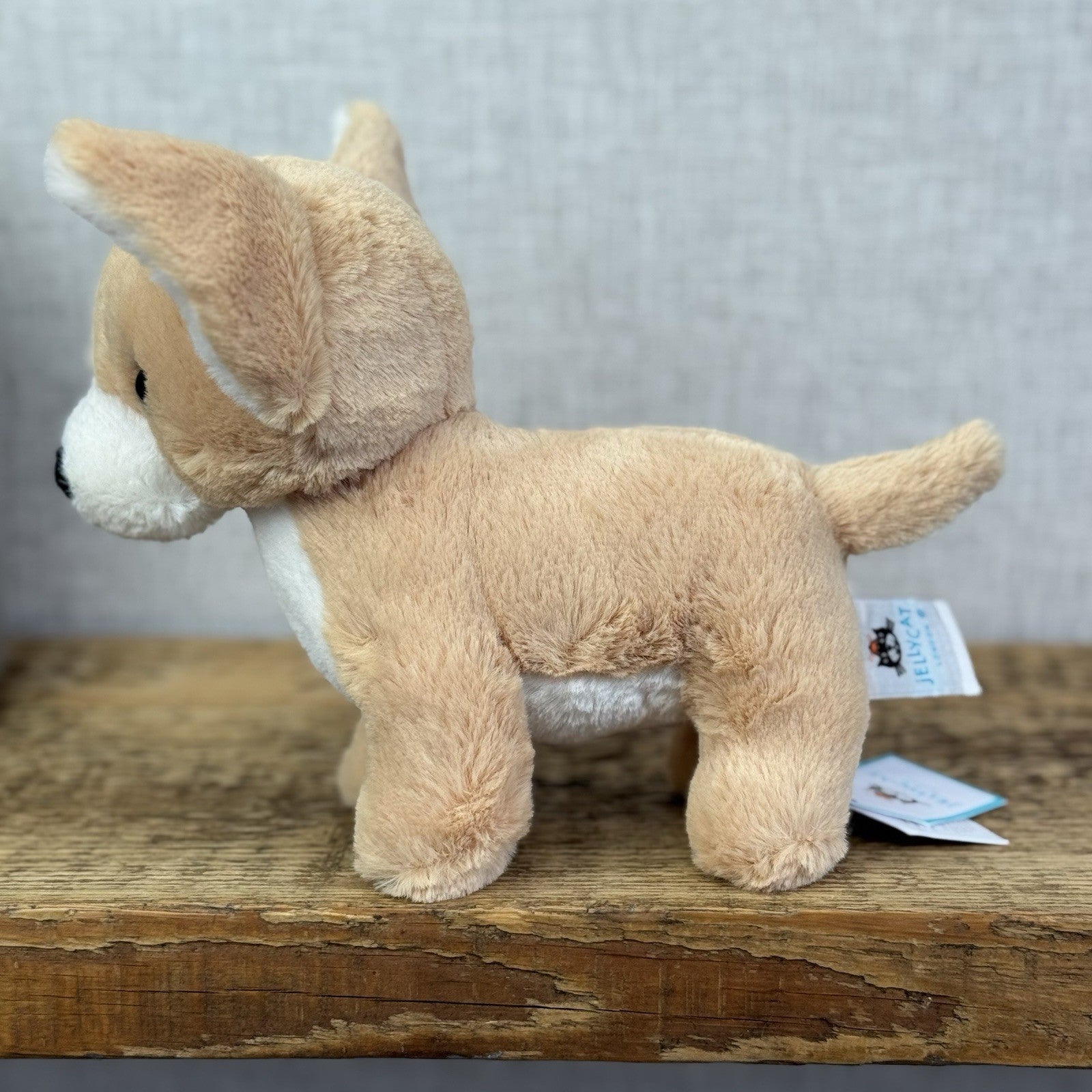 Jellycat Isobel Chihuahua - Small Soft Toy Dog Plush Beanie Cute Puppy 7"
