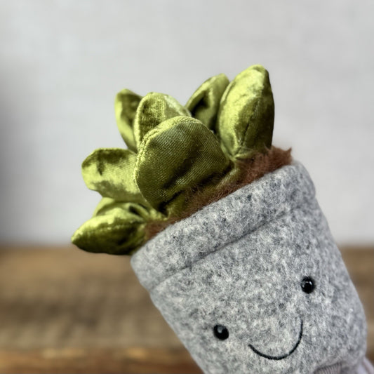 Jellycat Amuseable Silly Succulent Jade - Velour Green Small Potted Succulent 6”