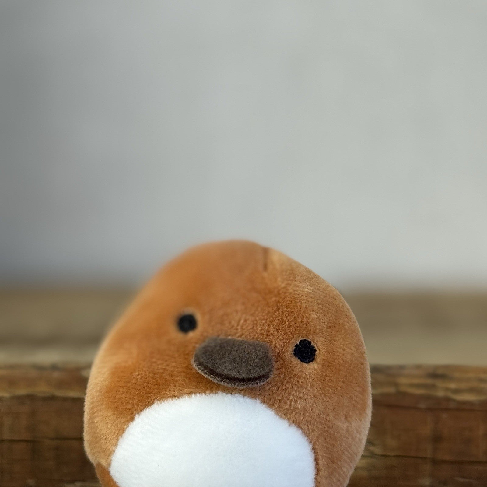 Squishmallow Squishville - Santino Platypus - Brown Platypus Sea Creature 2”