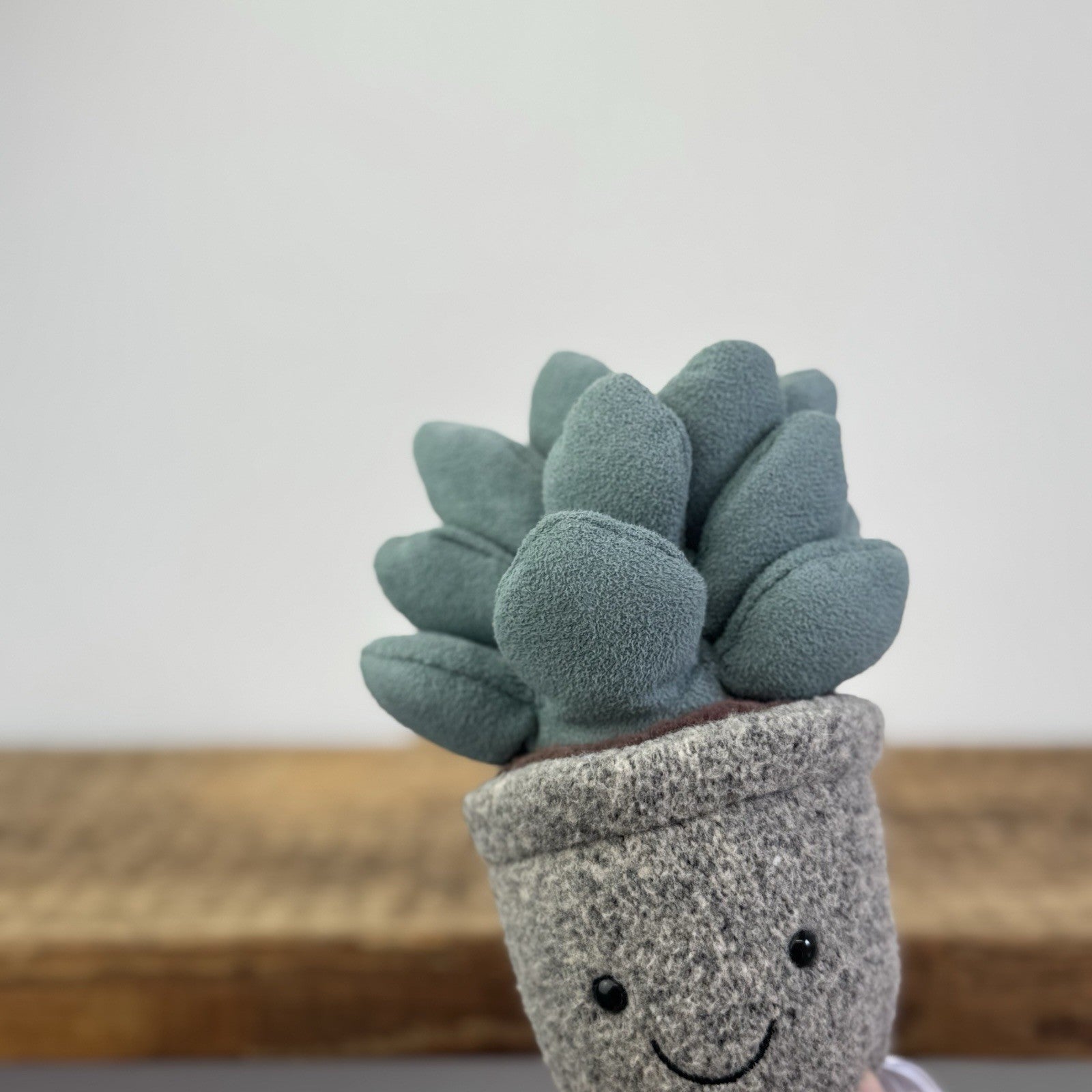Jellycat Succulent Azuilita - Partial Paper Tag - Potted Succelent Beanie Plush 