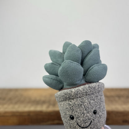 Jellycat Succulent Azuilita - Partial Paper Tag - Potted Succelent Beanie Plush 