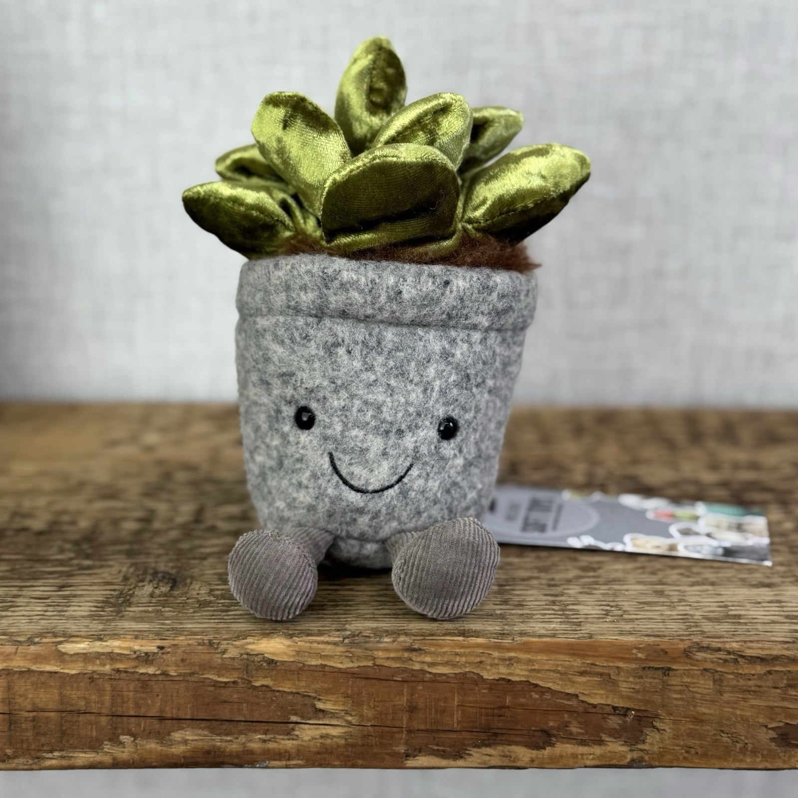 Jellycat Amuseable Silly Succulent Jade - Velour Green Small Potted Succulent 6”