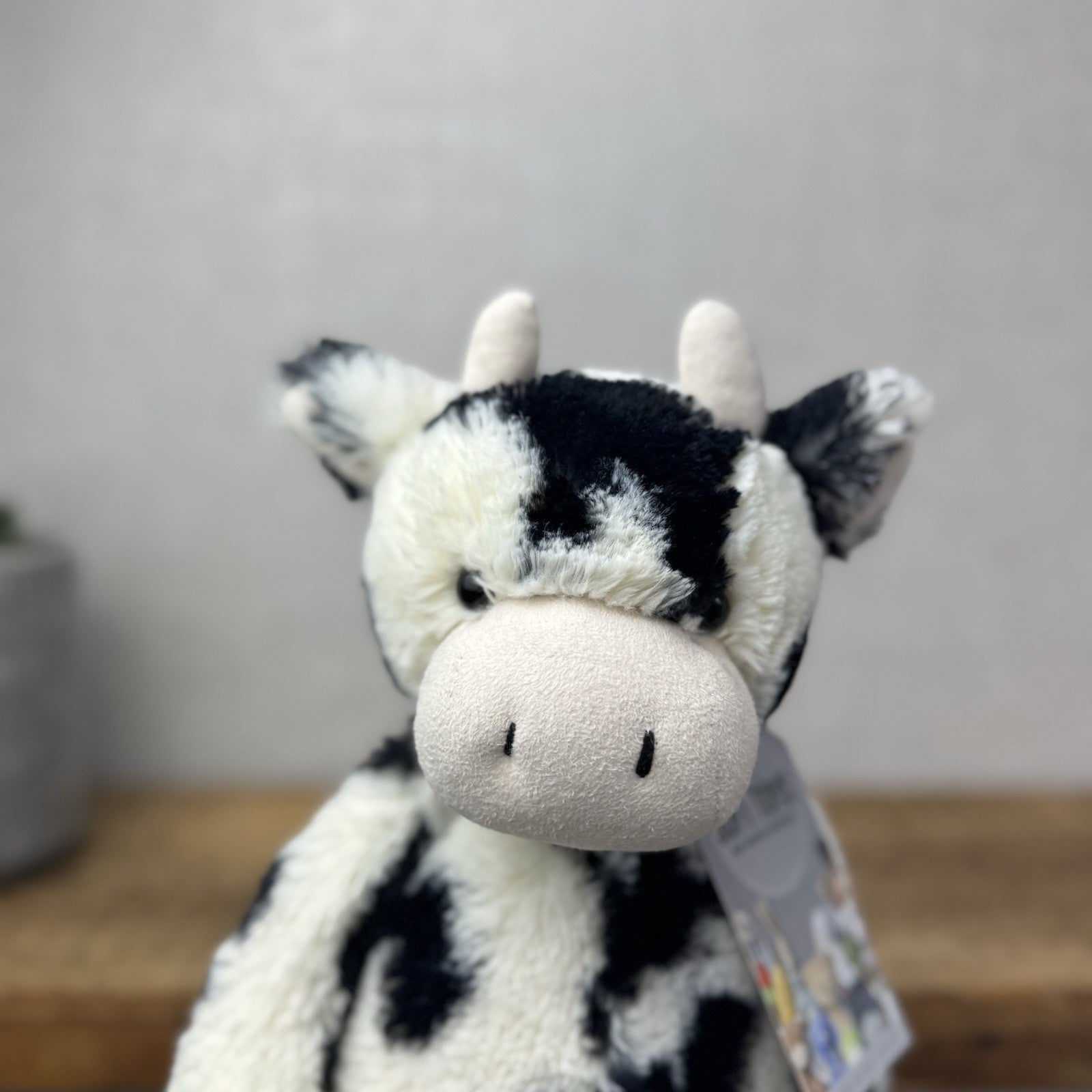 Jellycat Medium Bashful Cow Calf - Beanie Cow Spotty Black White Farm Plush 12"