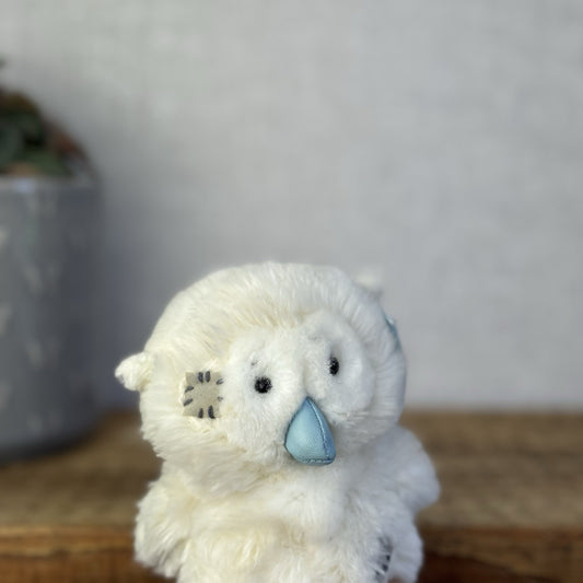 Blue Nose Friends Wise The Owl - Mini Owl Beanie Plush With Tags Retired 5”